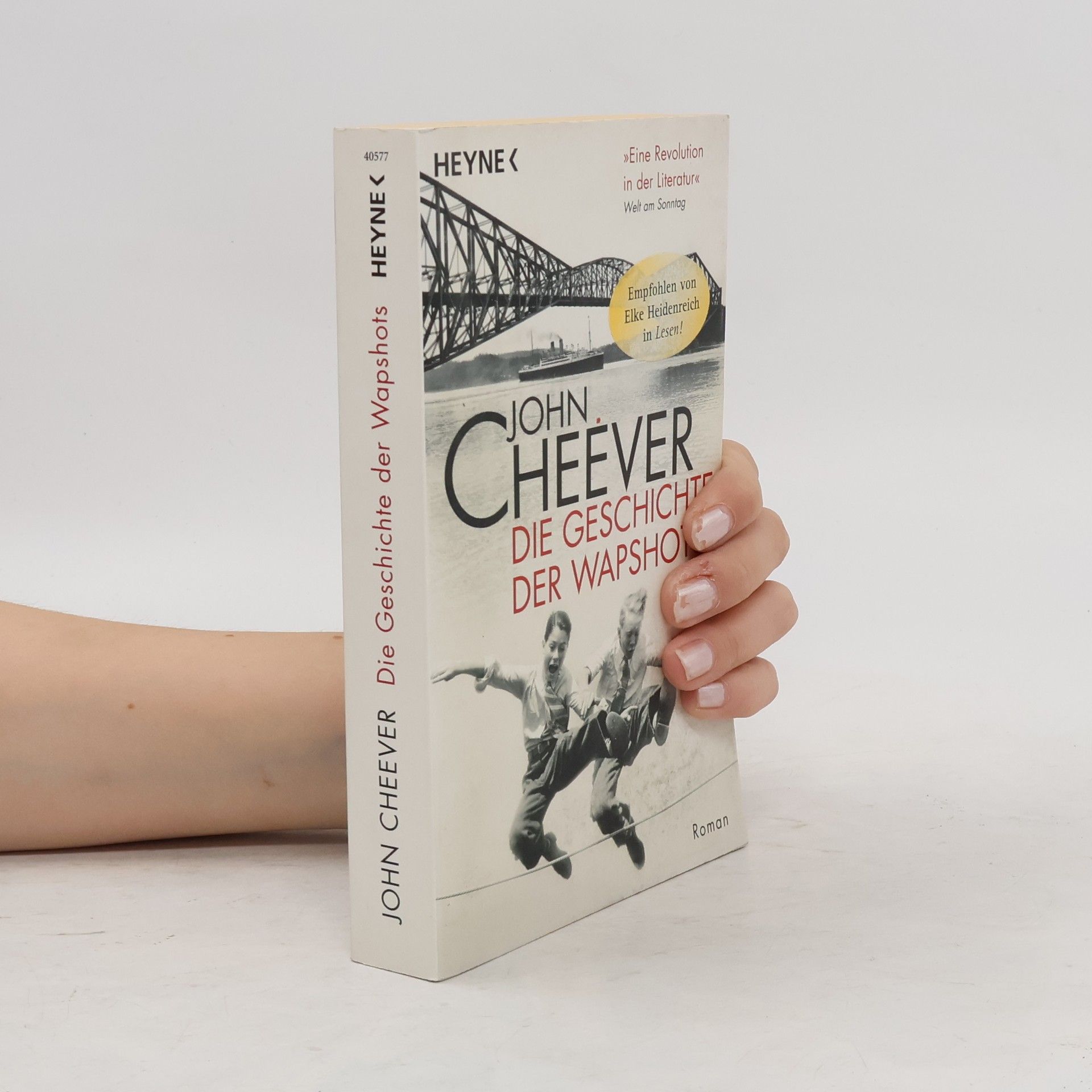 John Cheever Die Geschichte der Wapshots