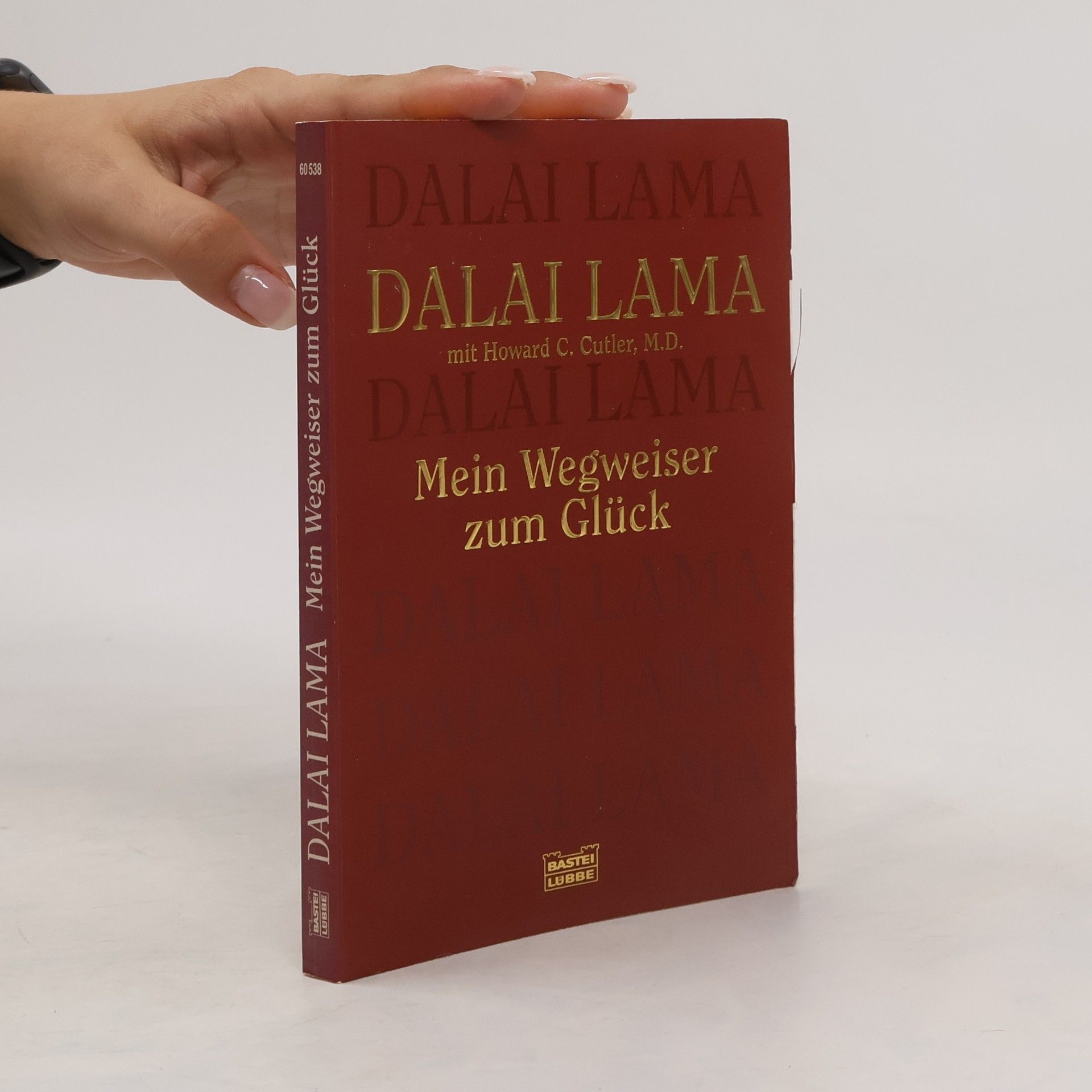 Bstan-vdzin-rgya-mtsho Mein Wegweiser zum Glück