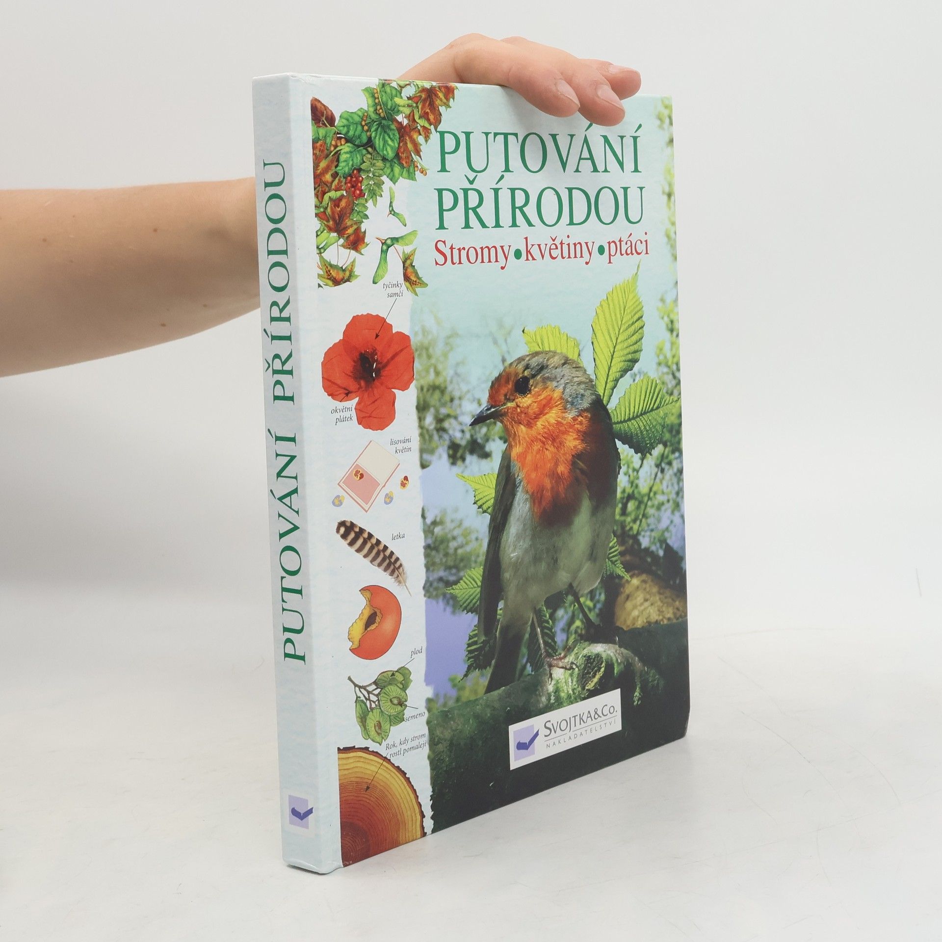 Autorenkollektiv Putování přírodou: Stromy, květiny, ptáci