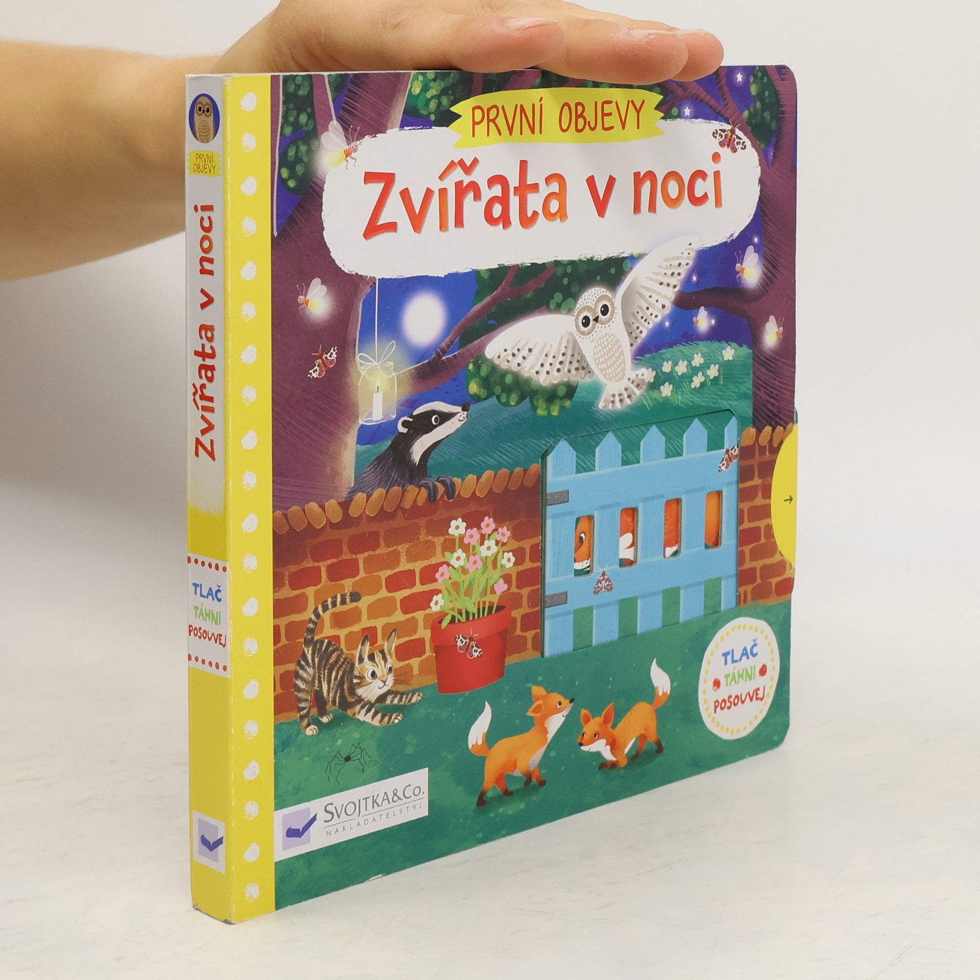 Jenny Wren První objevy: Zvířata v noci