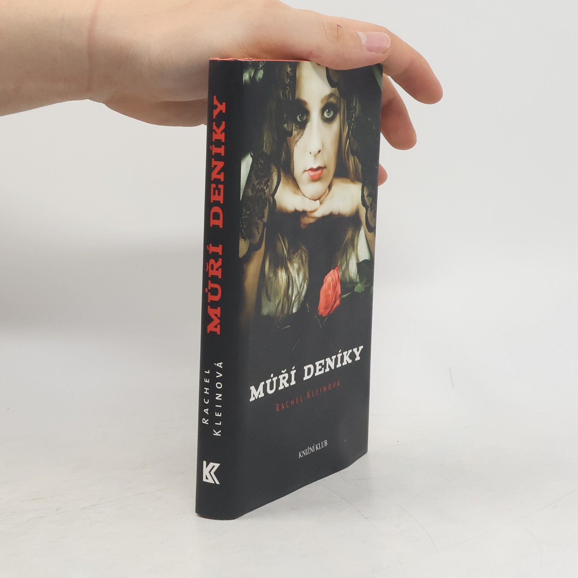 Rachel Klein Můří deníky