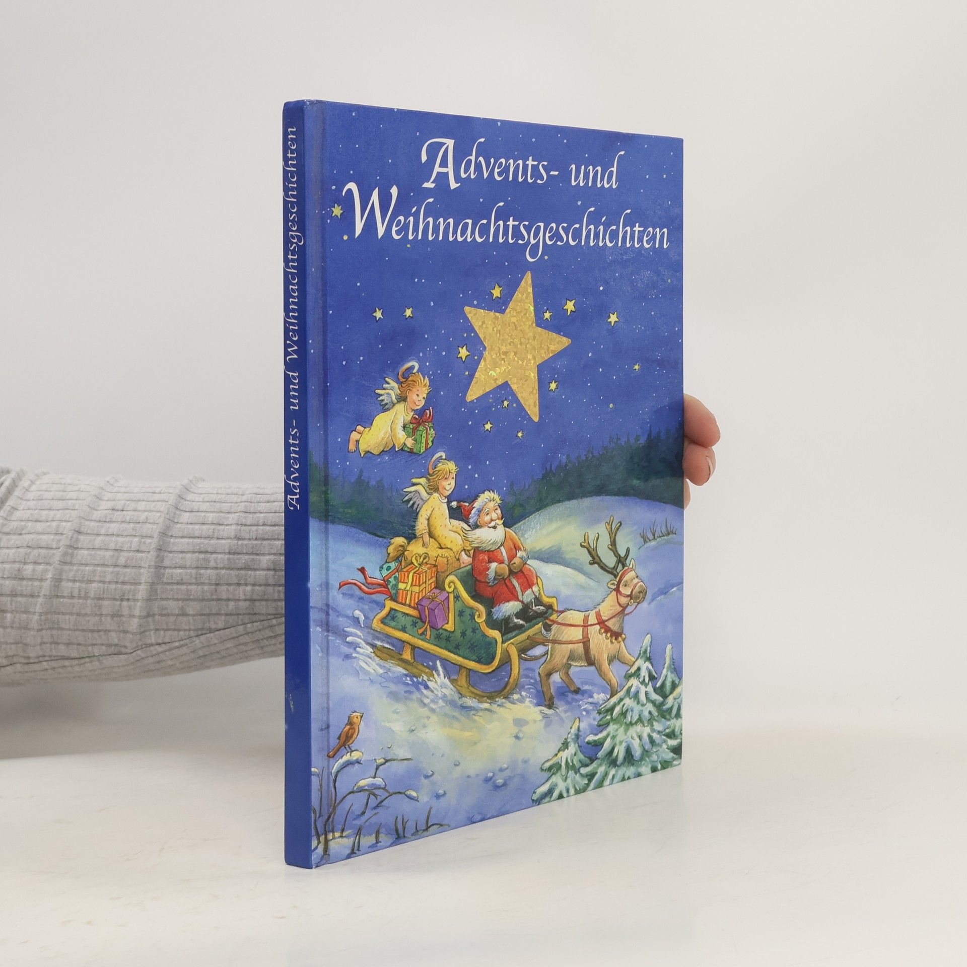 Autorenkollektiv Advents- und Weihnachtsgeschichten