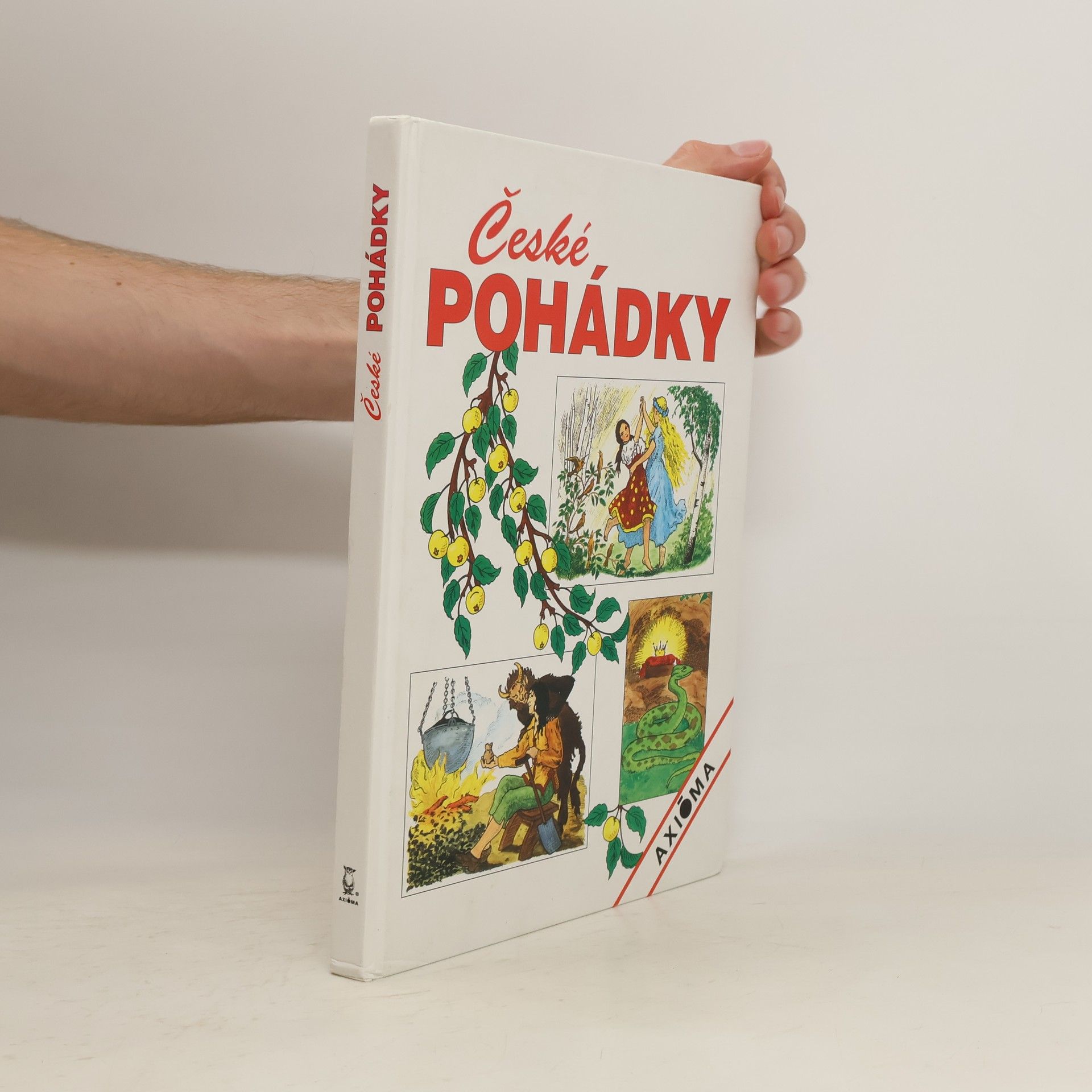 Collectif d'auteurs České pohádky