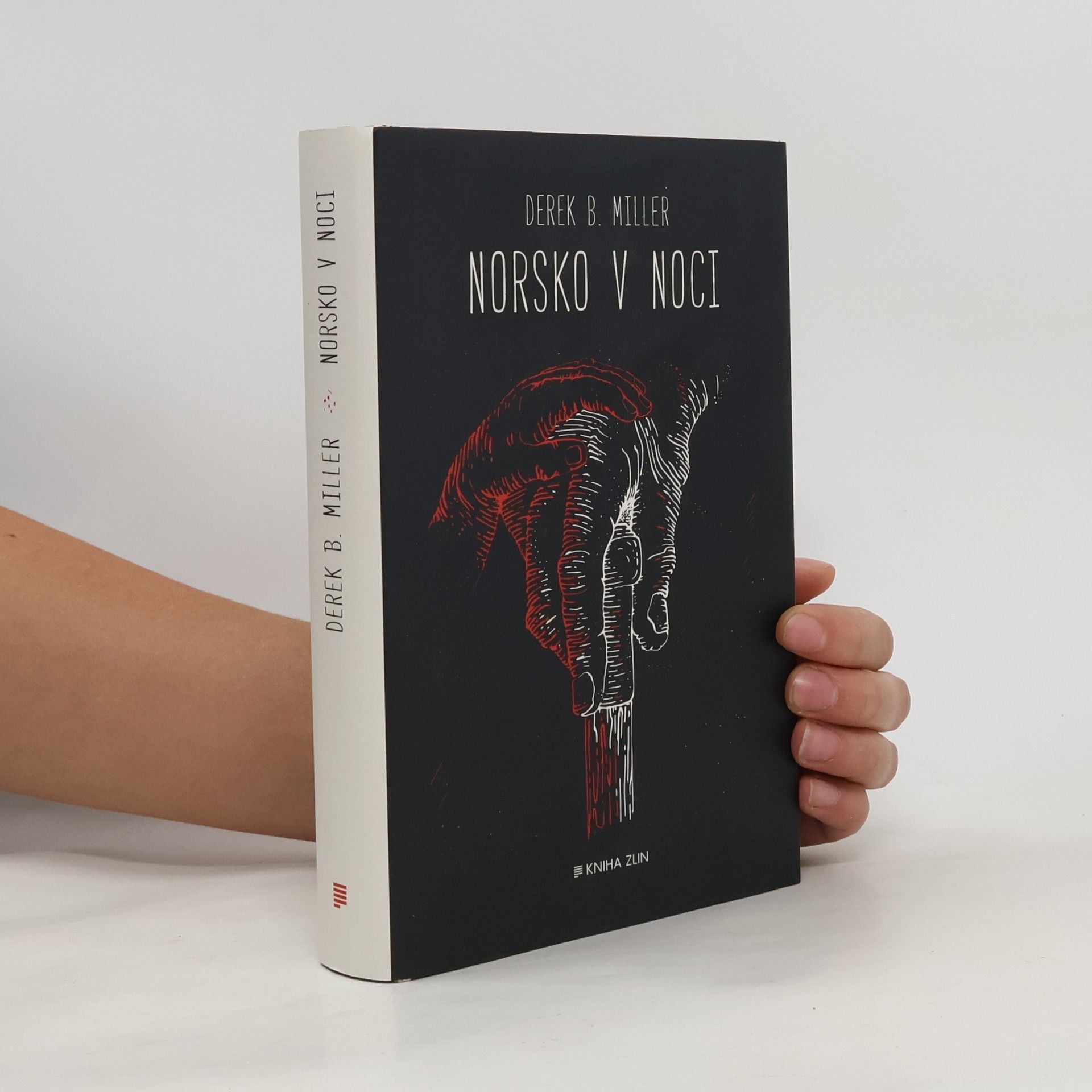 Derek B. Miller Norsko v noci