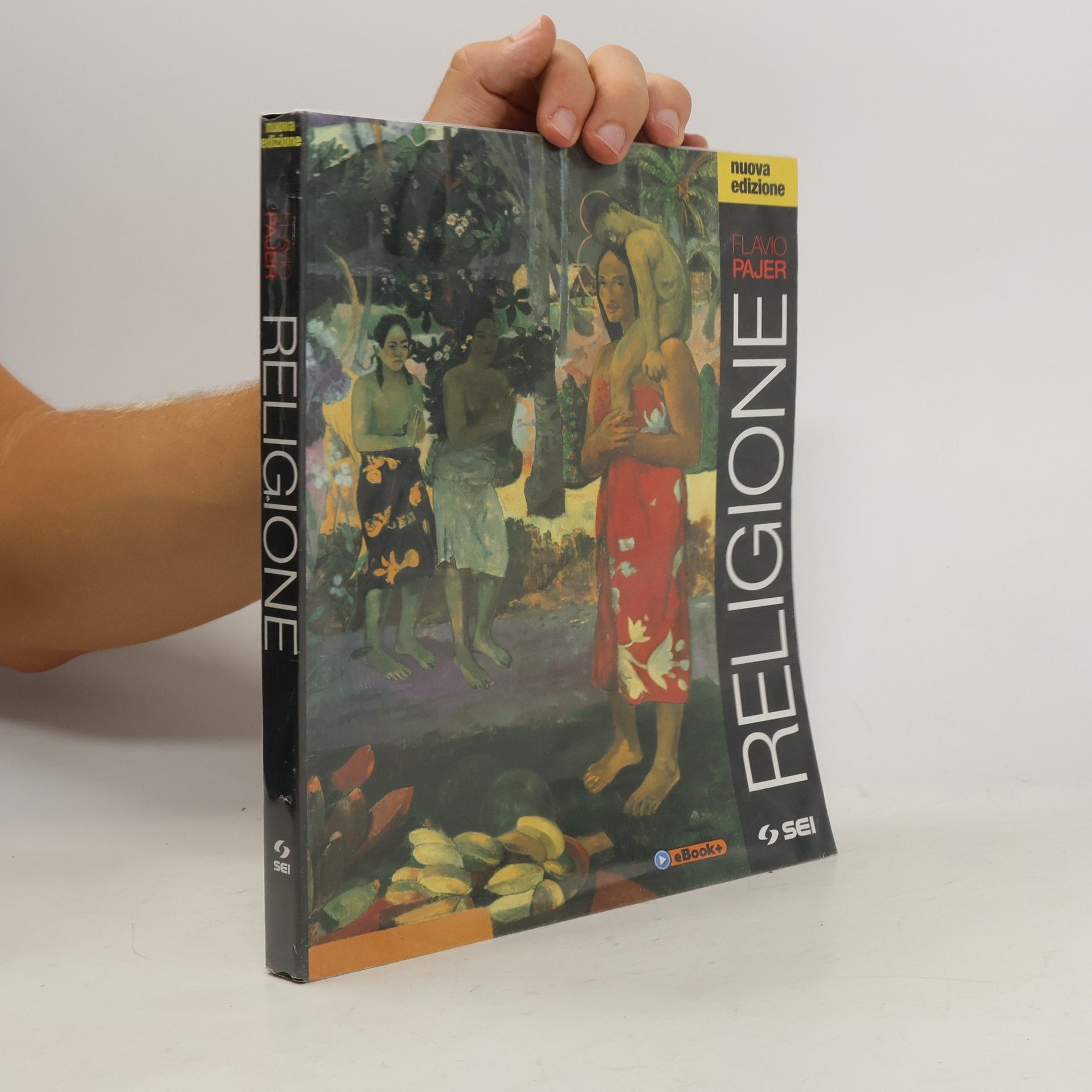 Flavio Pajer Religione-Ciotti. Non lasciamoci rubare il futuro