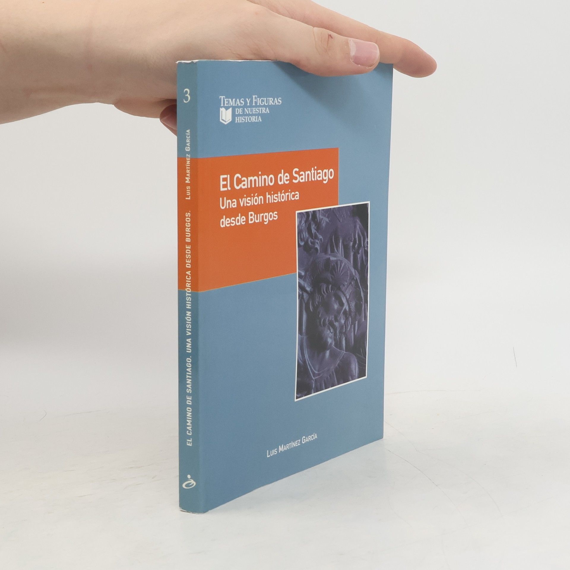 Luis Martínez García El Camino de Santiago