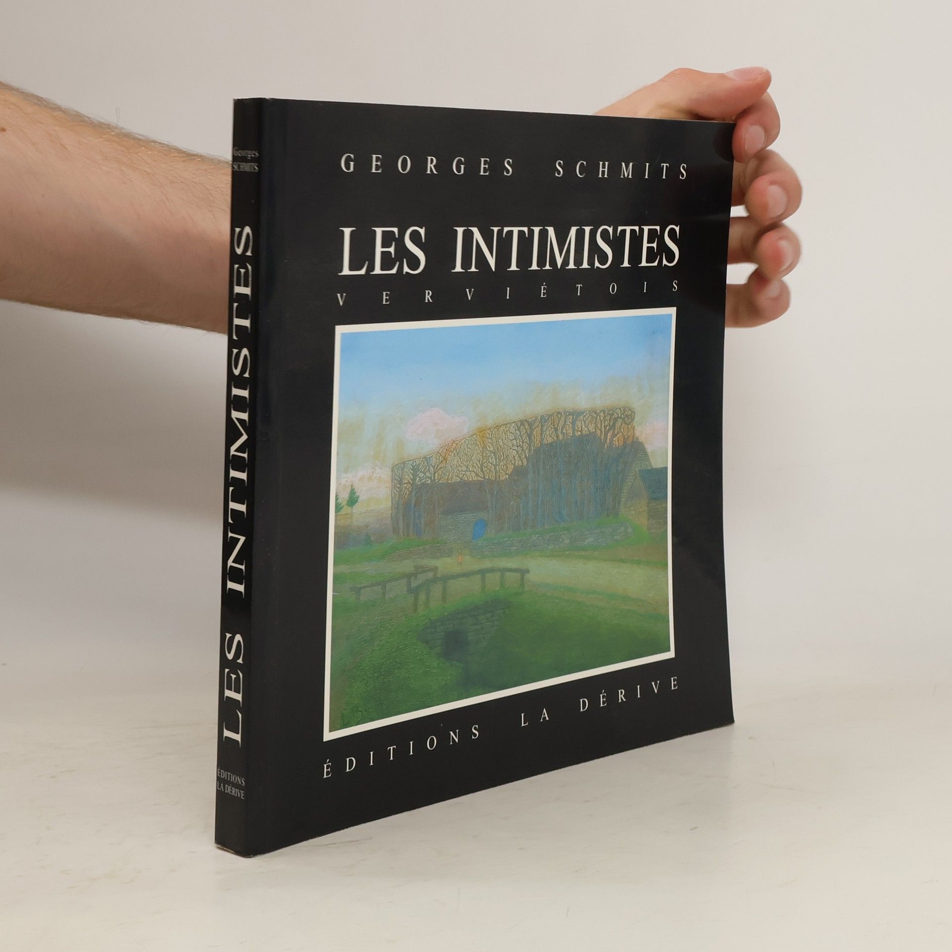 Georges Schmits Les Intimistes verviétois