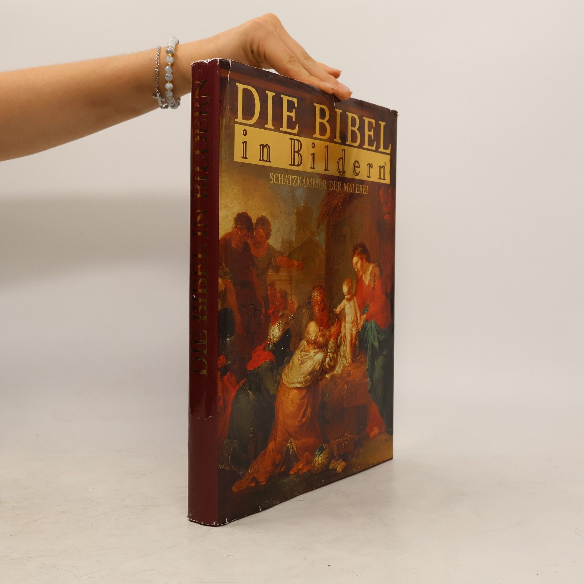 Autorenkollektiv Die Bibel in Bildern. Schatzkammer der Malerei