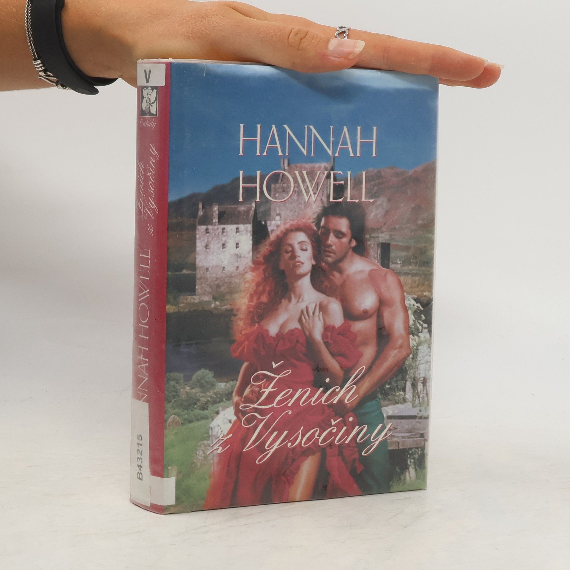 Hannah Howell Ženich z Vysočiny