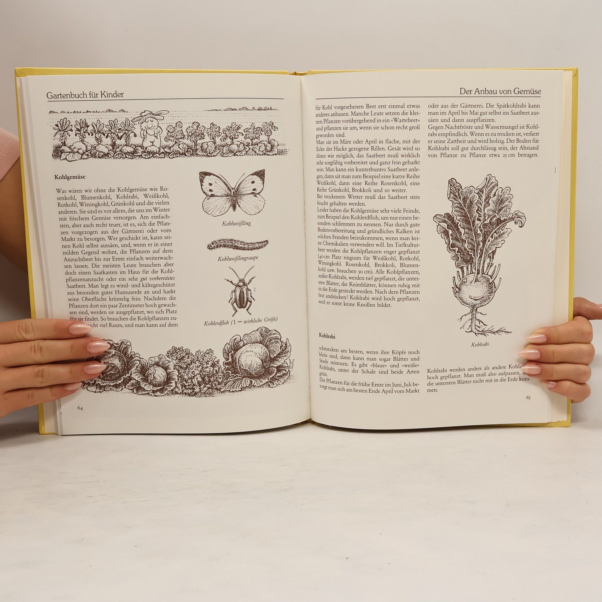 John Seymour Mein Gartenbuch für kleine Leute