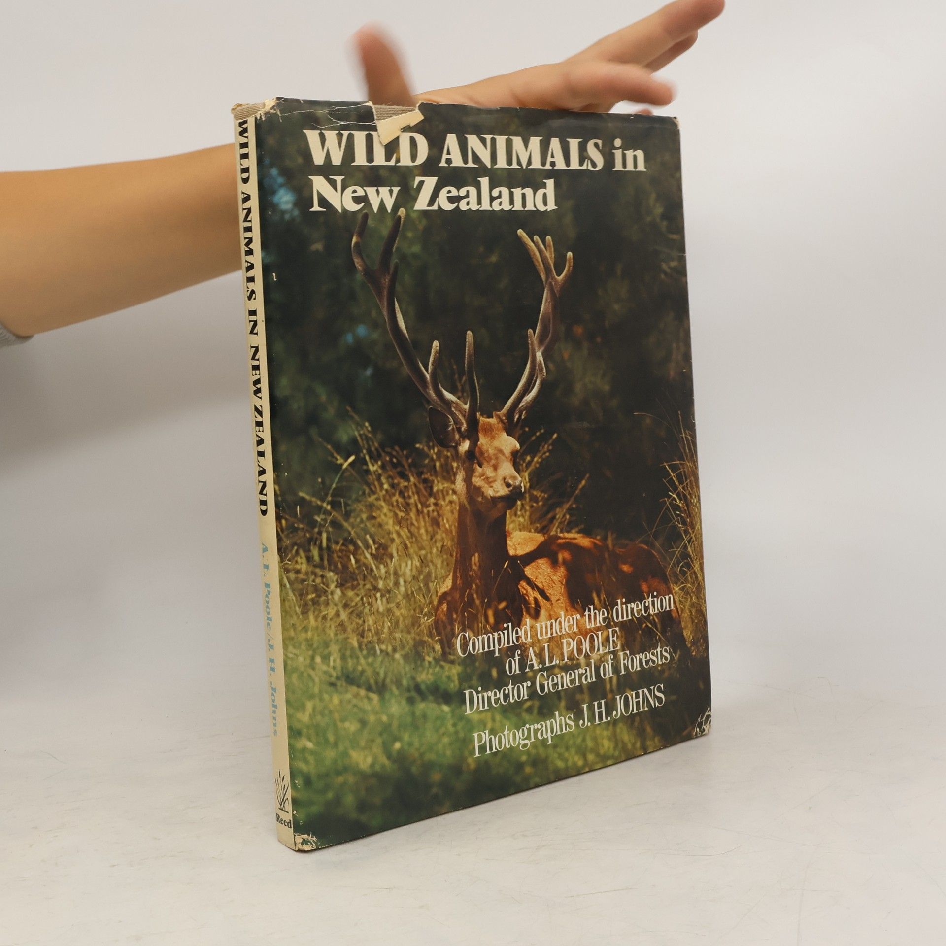 J. H. Johns Wild Animals in New Zealand
