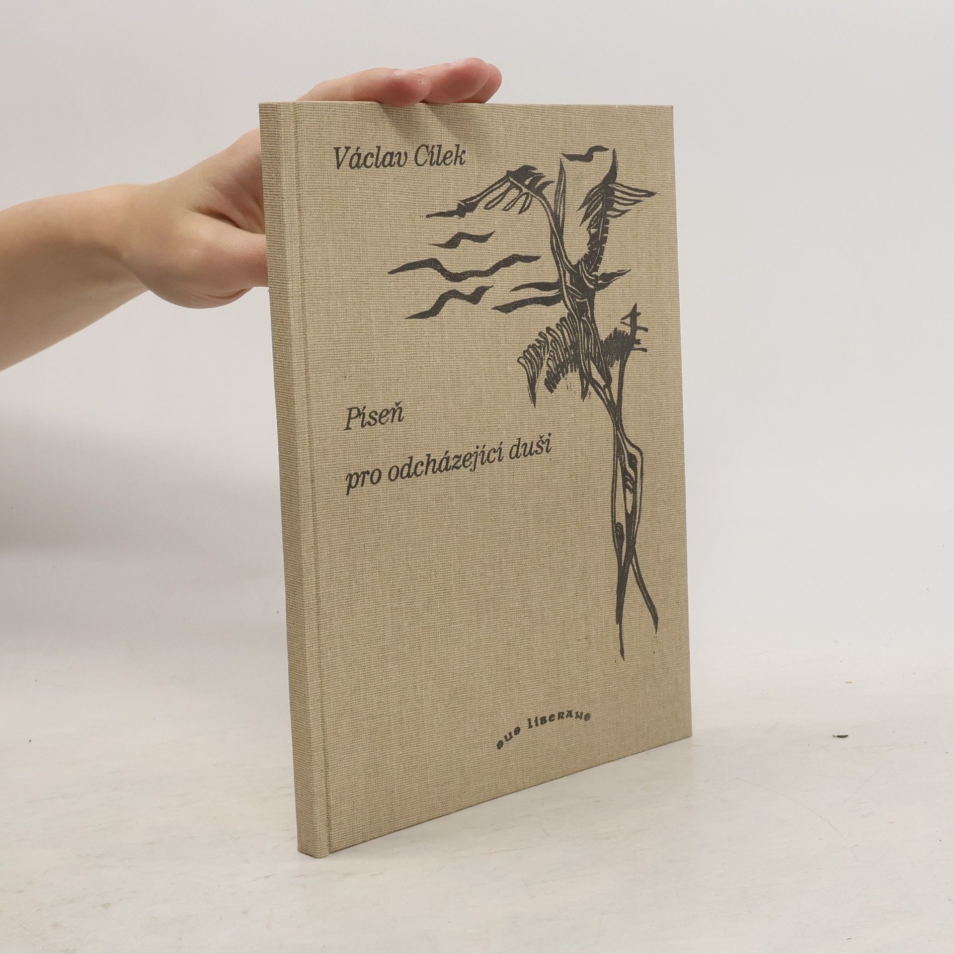 Václav Cílek Píseň pro odcházející duši
