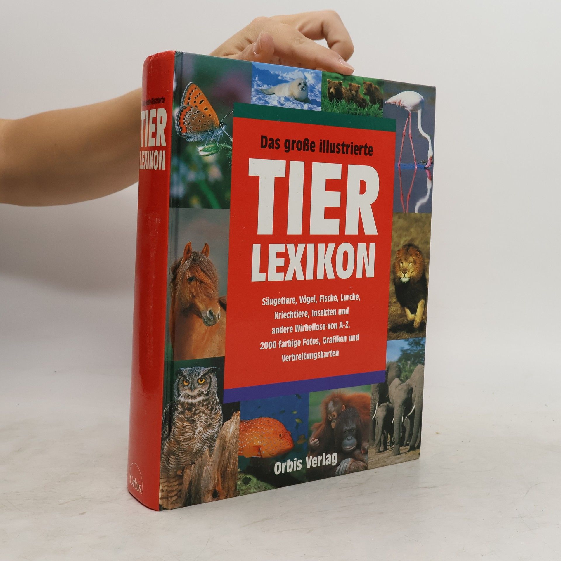 Various authors Da große illustrierte Tier Lexikon