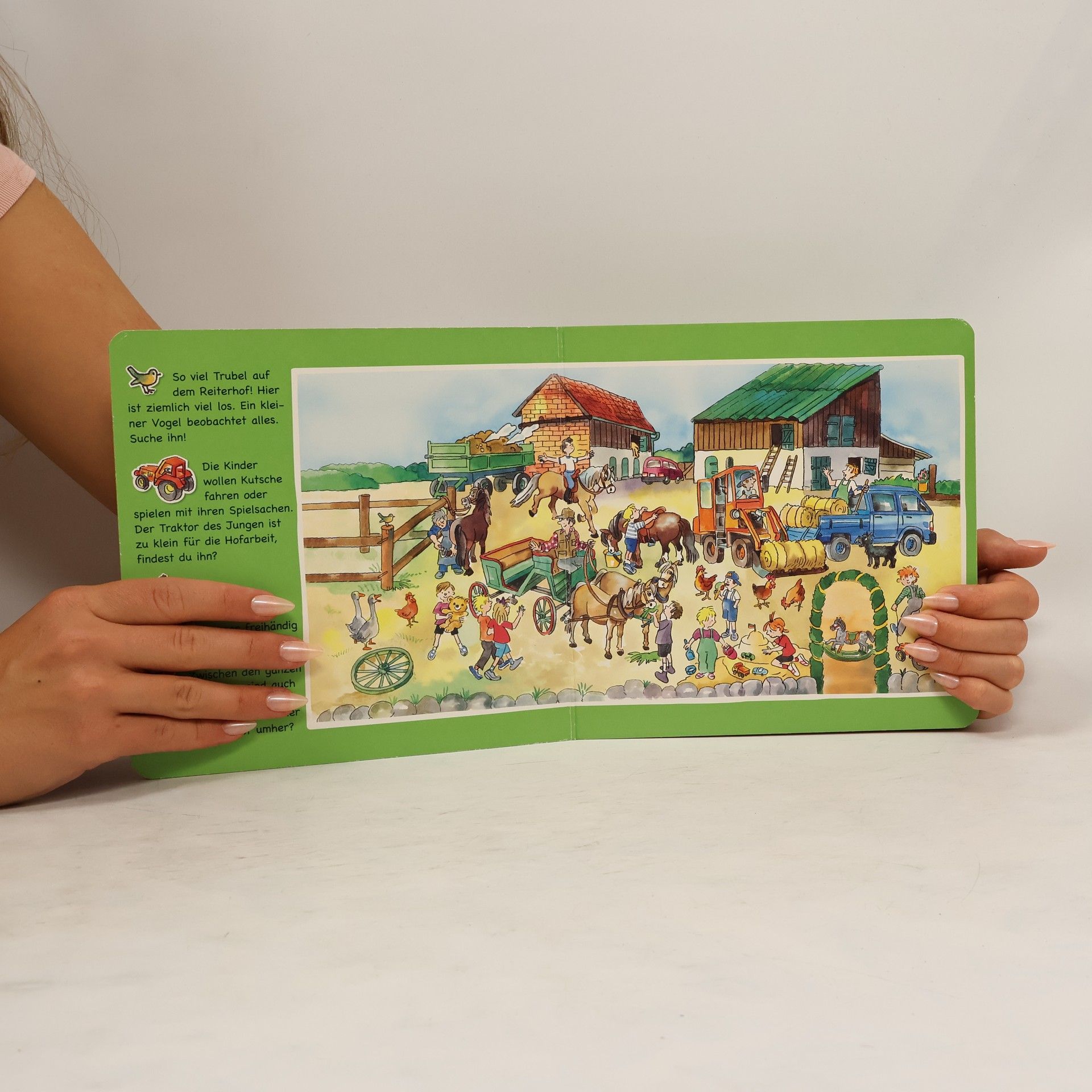 kolektiv Mein Such-Wimmelbuch Ponyhof