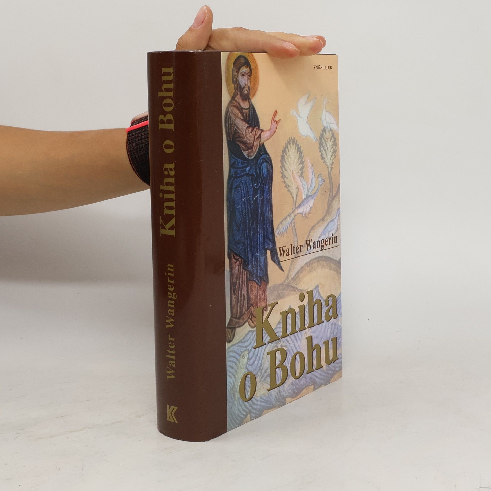 Walter Wangerin Kniha o Bohu