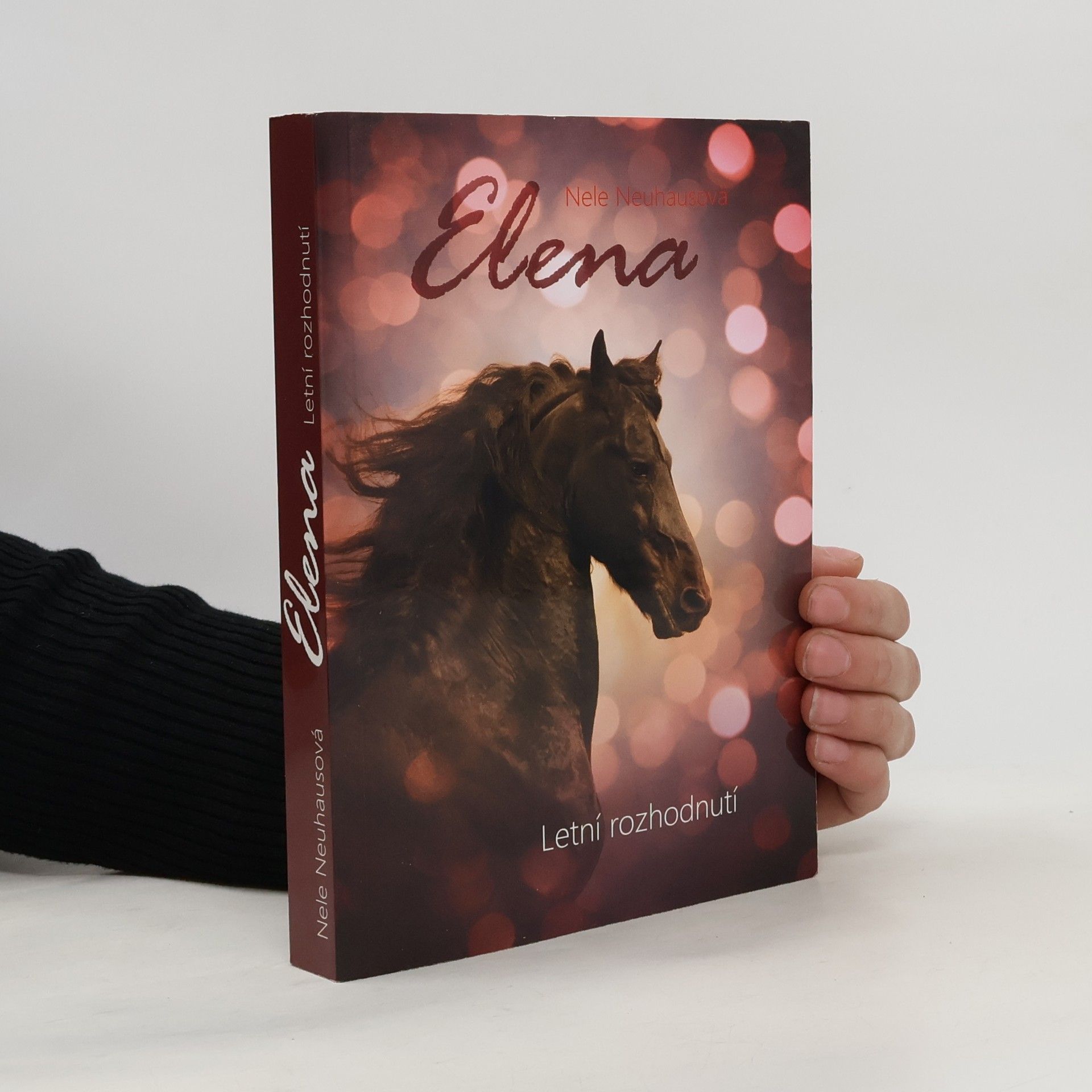 Nele Neuhaus Letní rozhodnutí