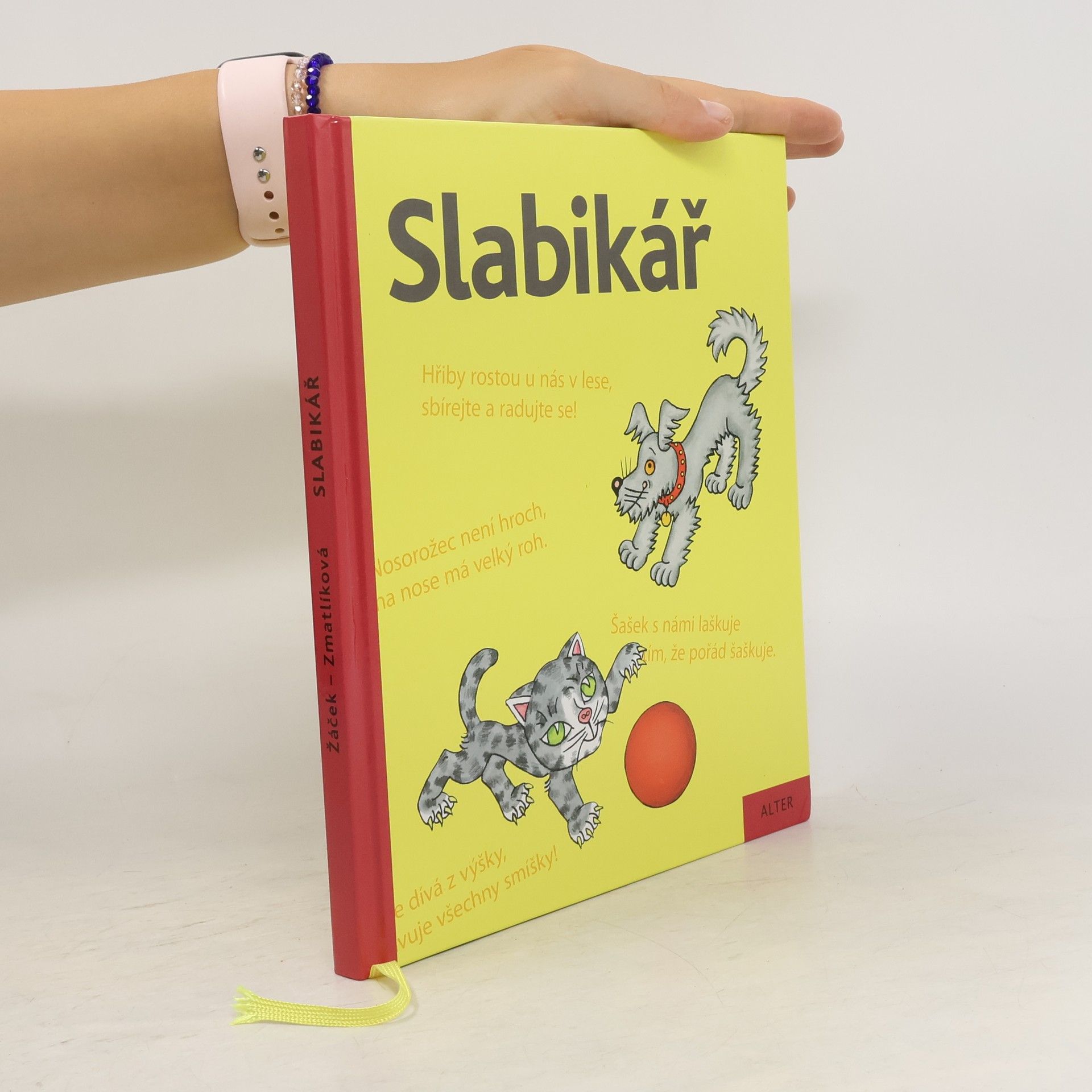 Jiří Žáček Slabikář : učebnice pro vzdělávací obor Český jazyk a literatura