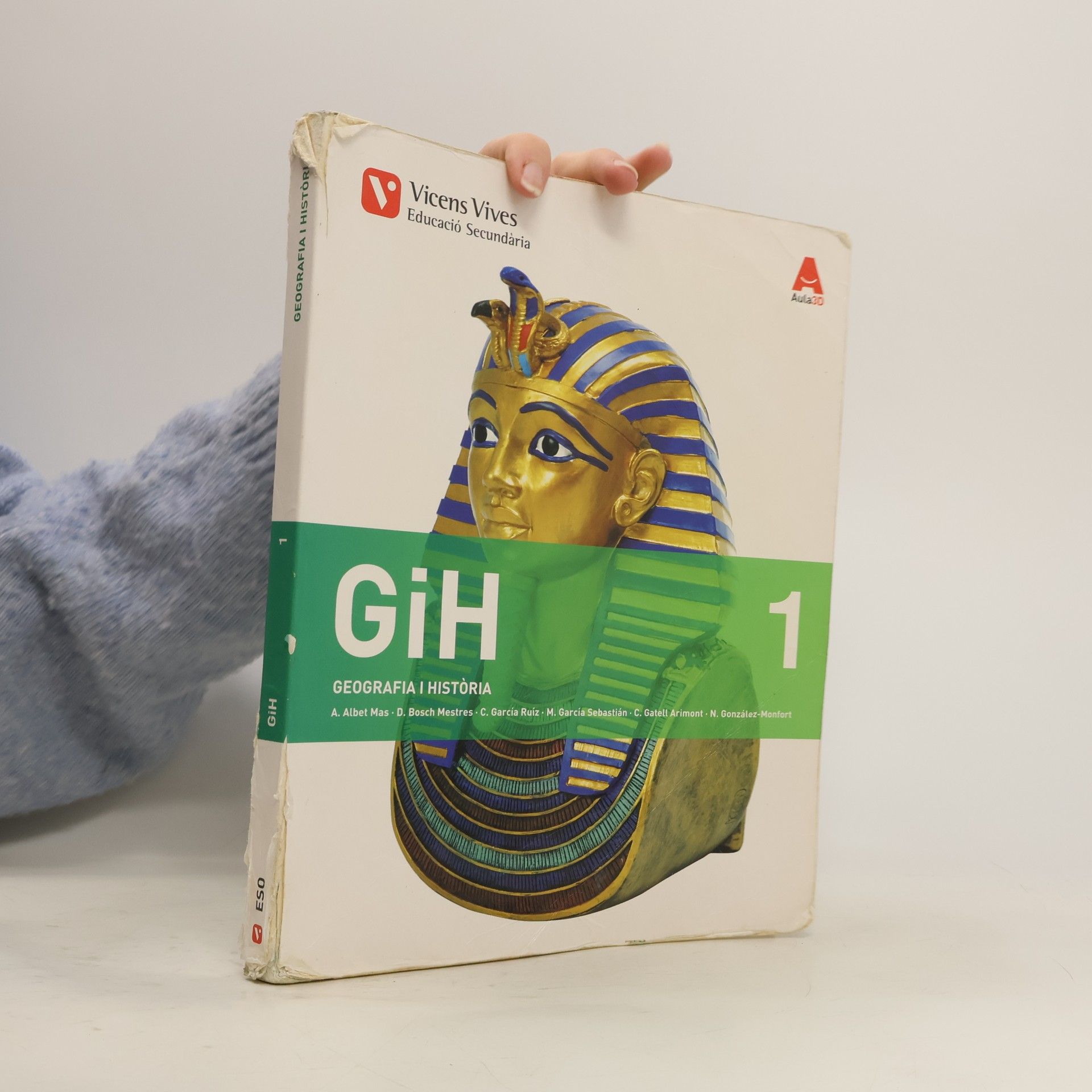 Collectif d'auteurs GiH 1