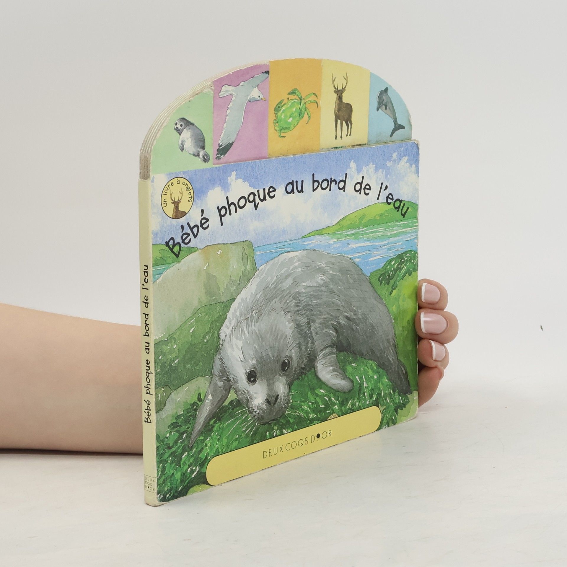 AA.VV. Bébé phoque au bord de l'eau