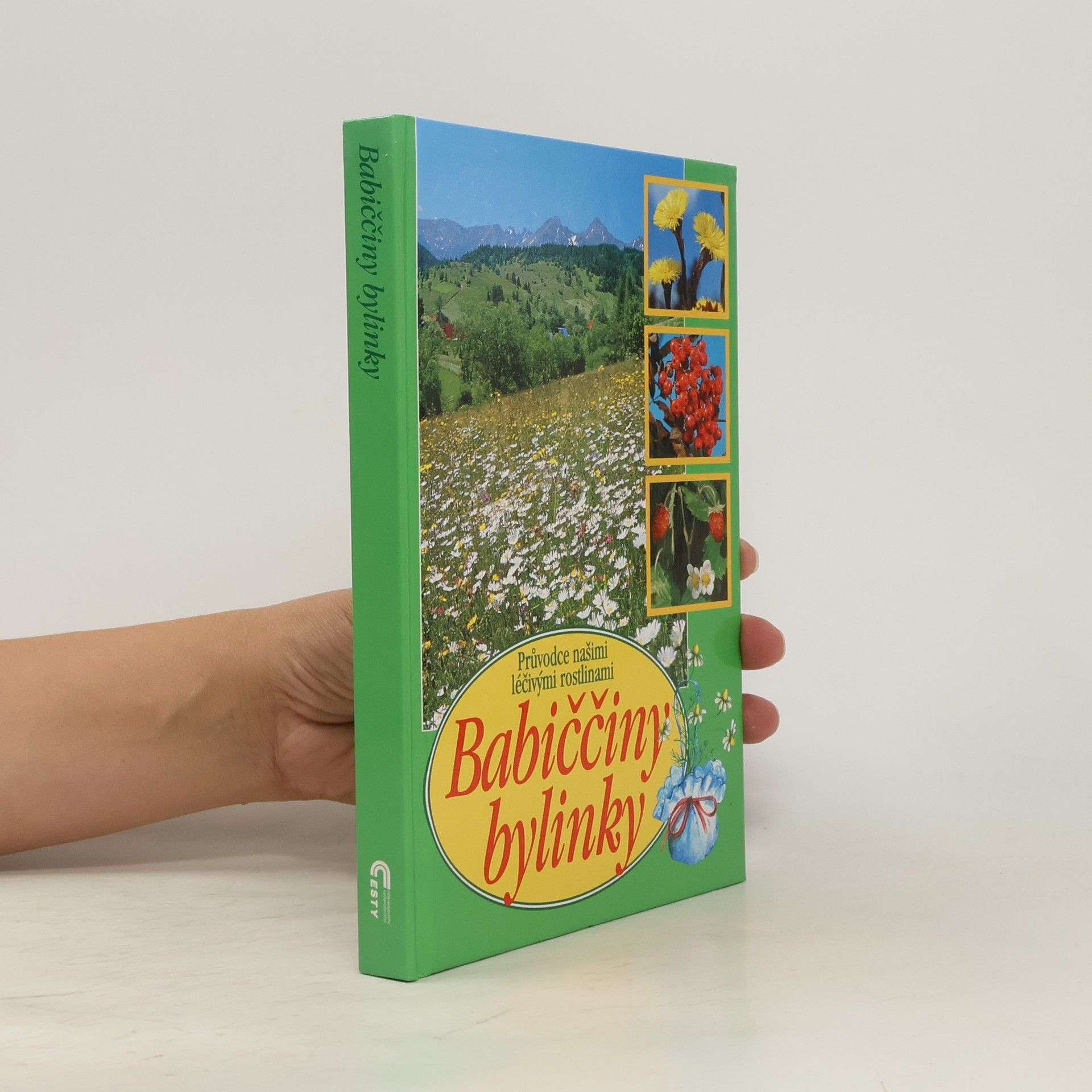 Babiččiny bylinky: Průvodce našimi léčivými rostlinami