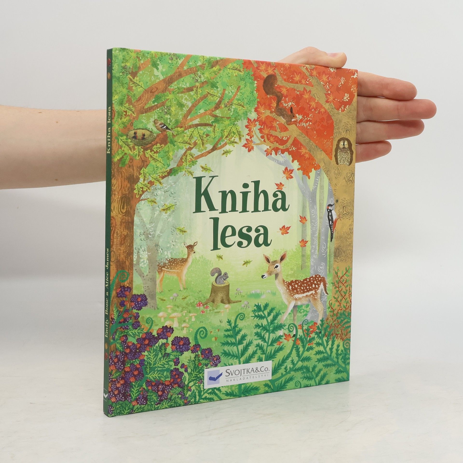 Autorenkollektiv Kniha lesa