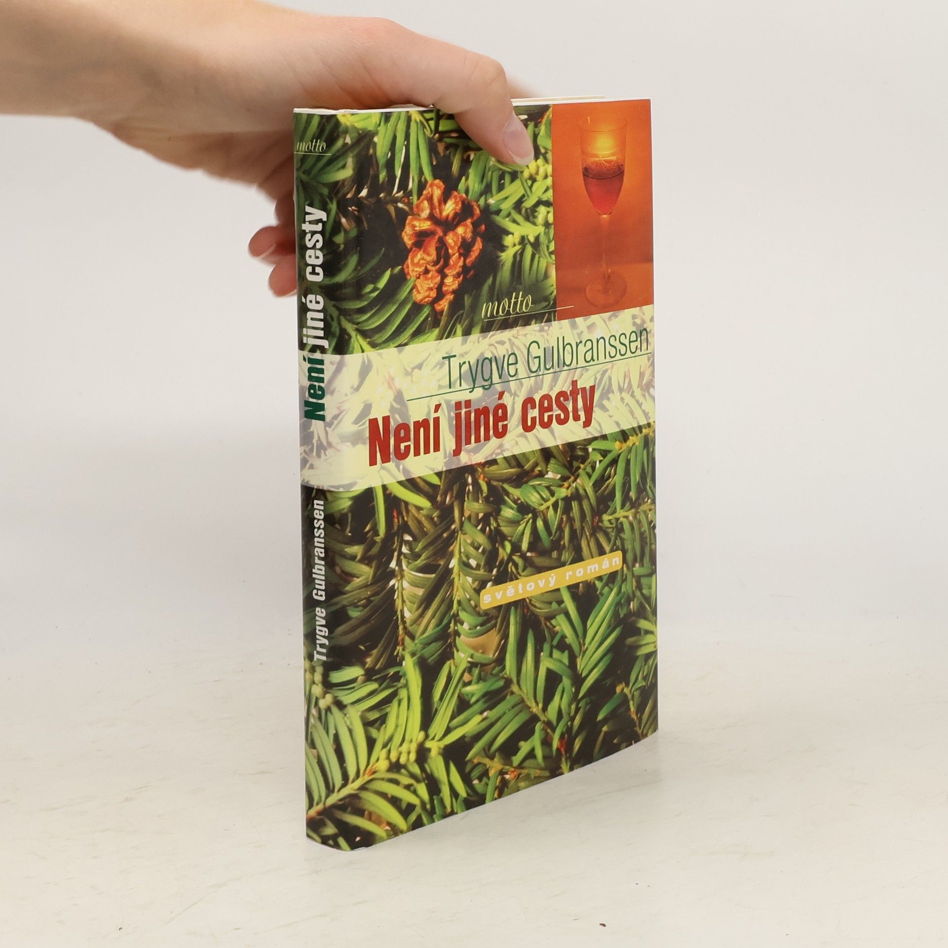 Trygve Emanuel Gulbranssen Není jiné cesty. Věčně zpívají lesy 3