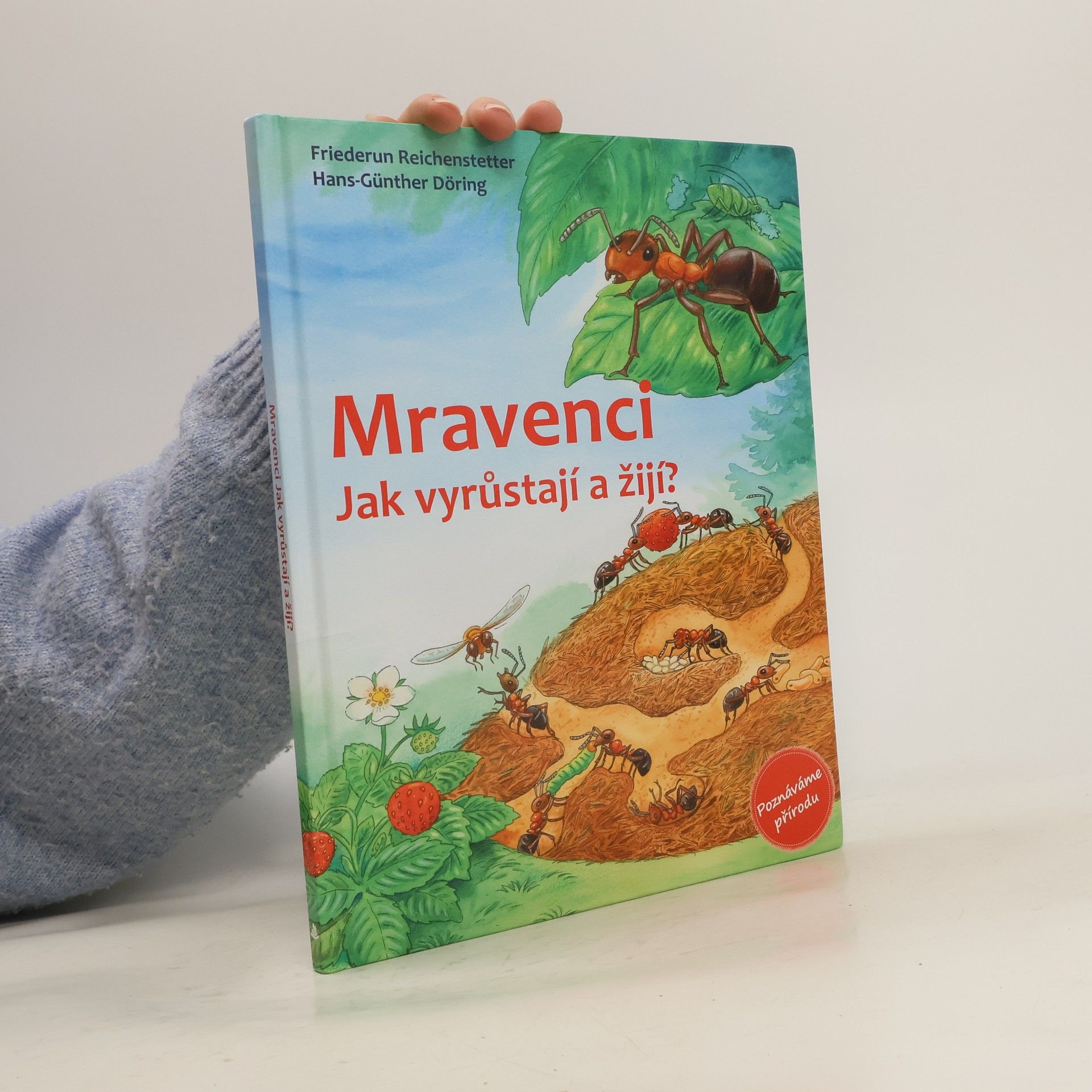 Mravenci. Jak vyrůstají a žijí?