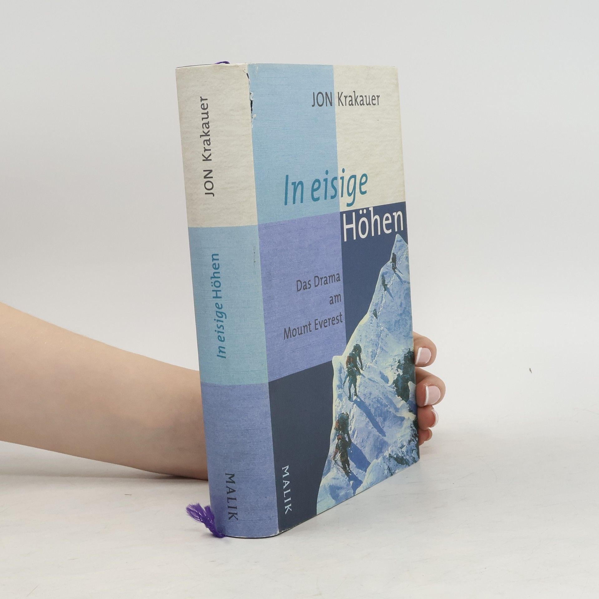 Jon Krakauer In eisige Höhen