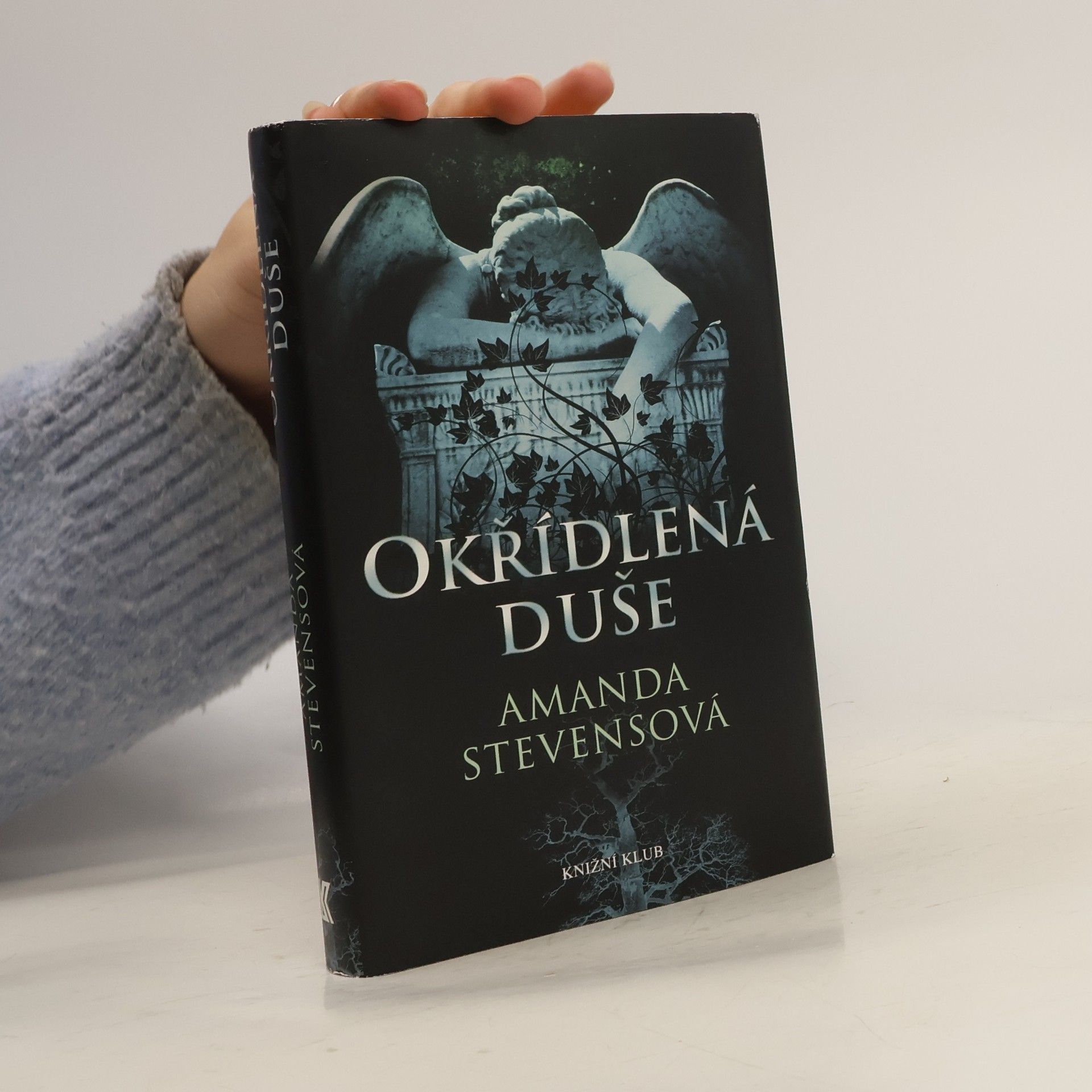 Amanda Stevens Okřídlená duše