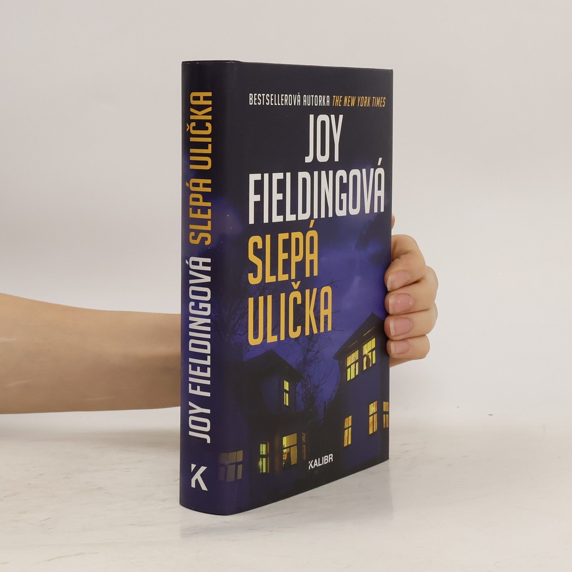 Joy Fielding Slepá ulička