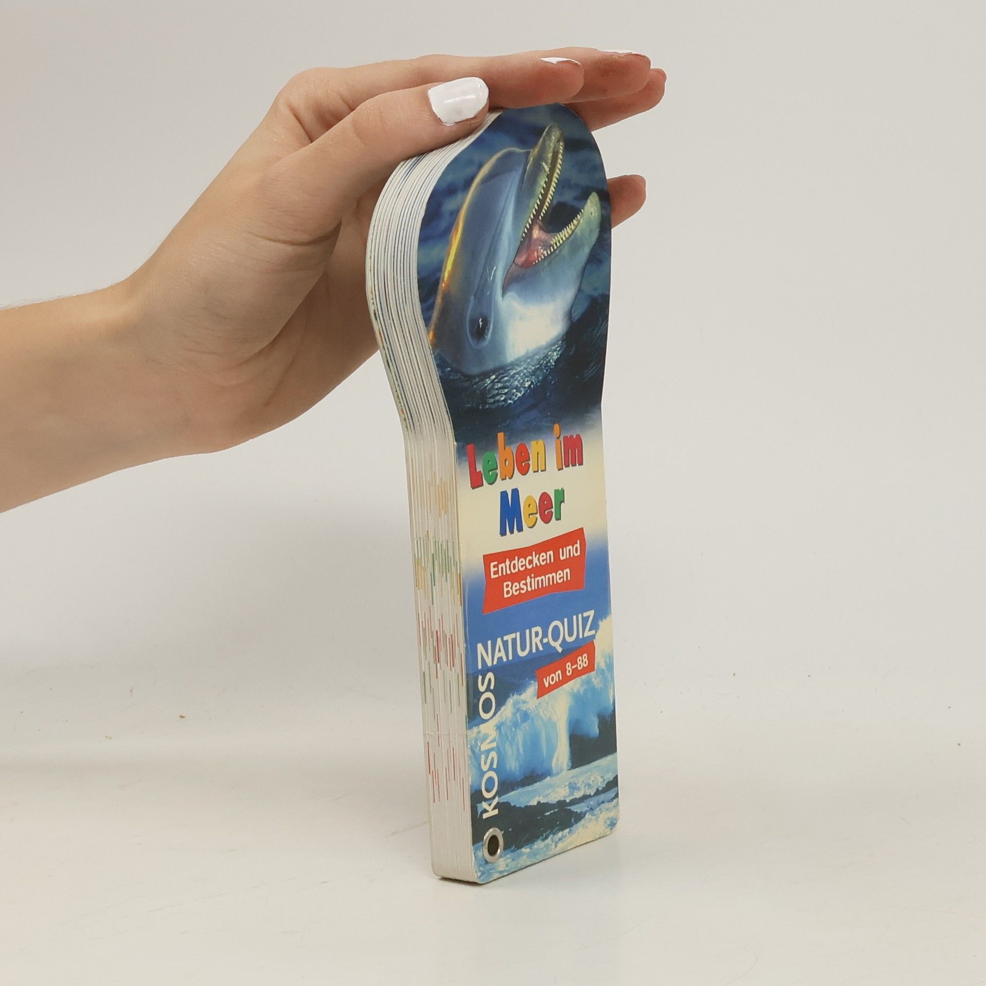 Autorenkollektiv Leben im Meer