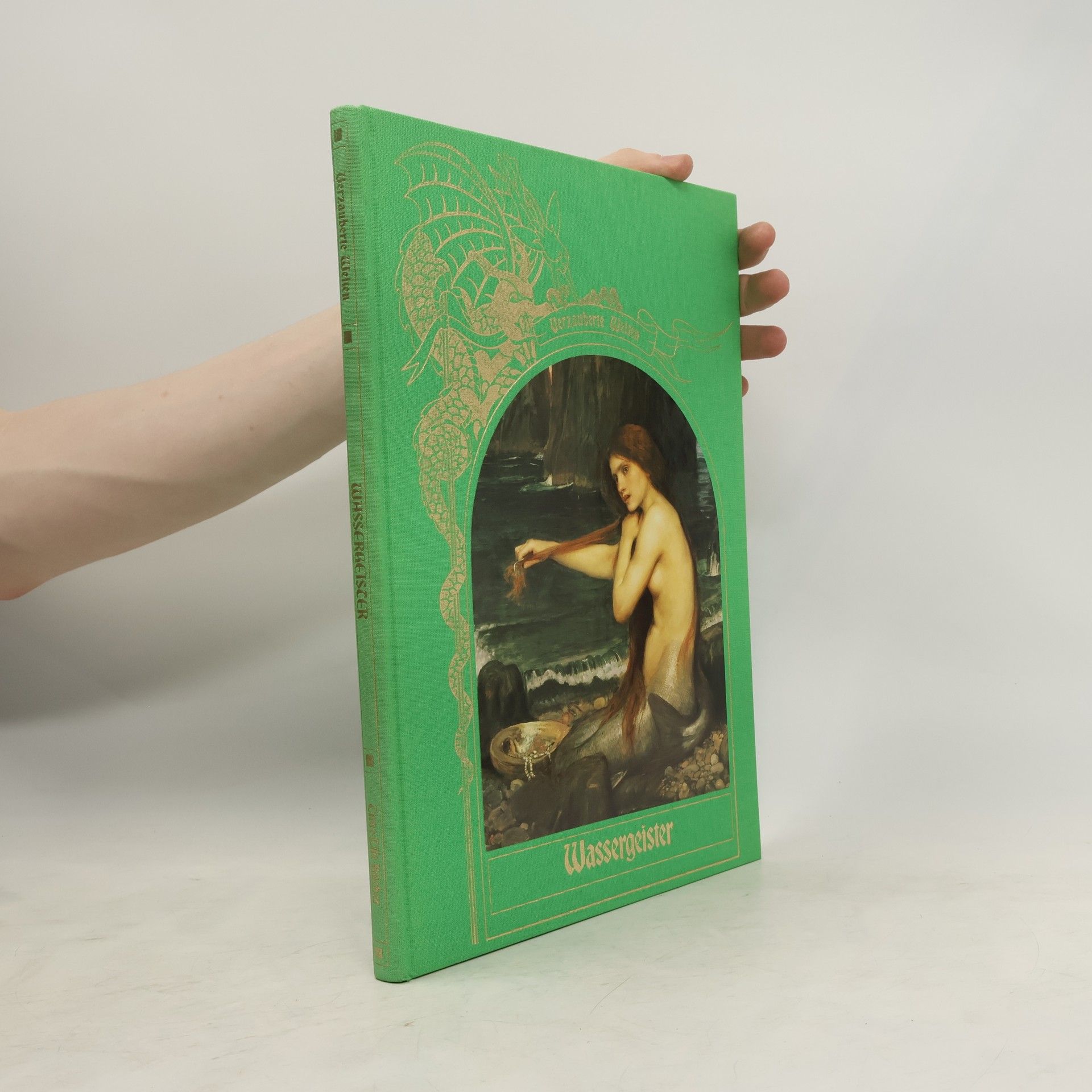 Kolektiv autorů Wassergeister