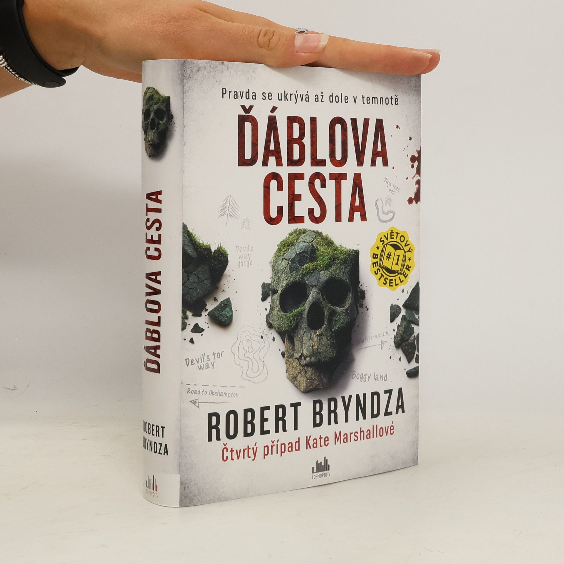 Robert Bryndza Ďáblova cesta