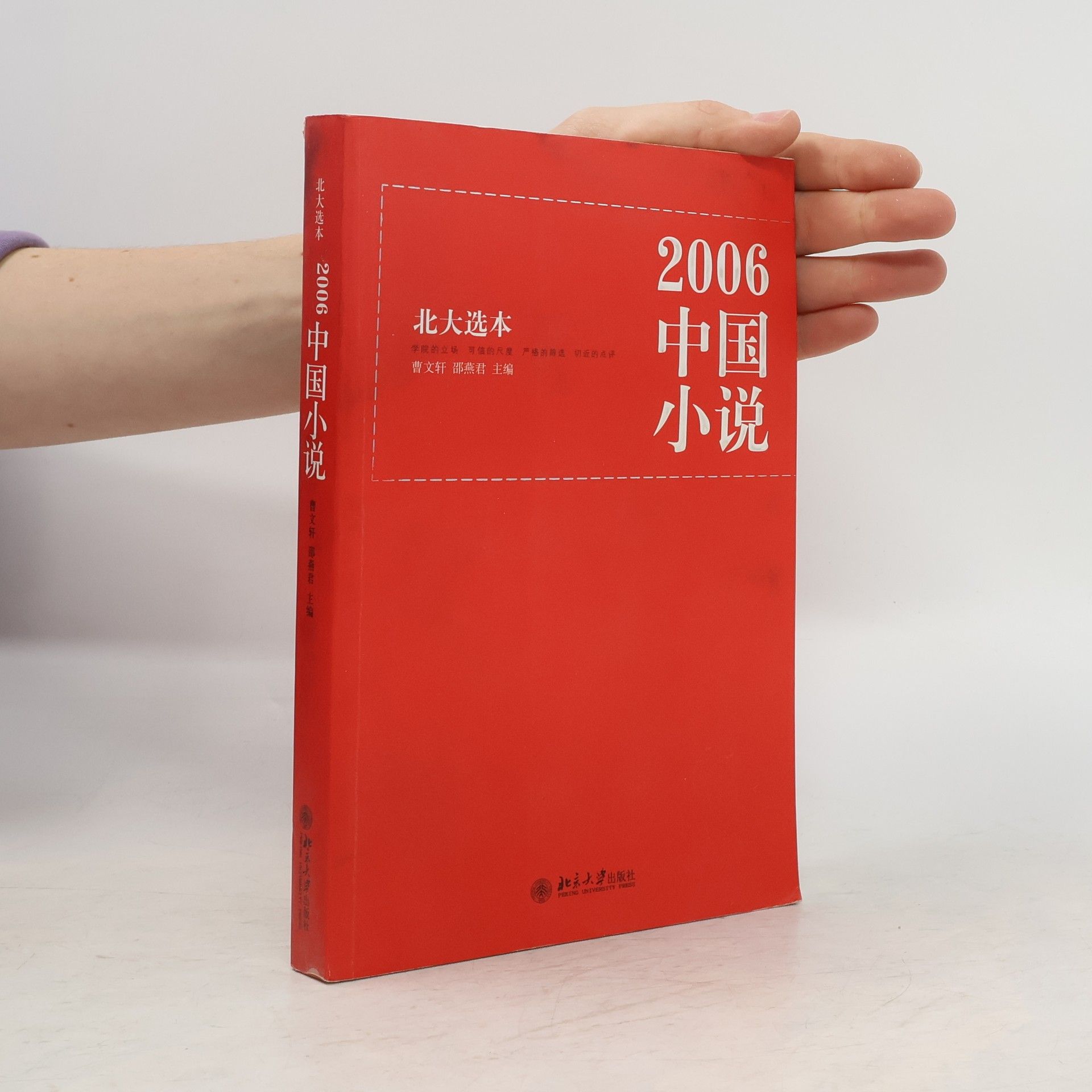 曹文轩 2006中国小说