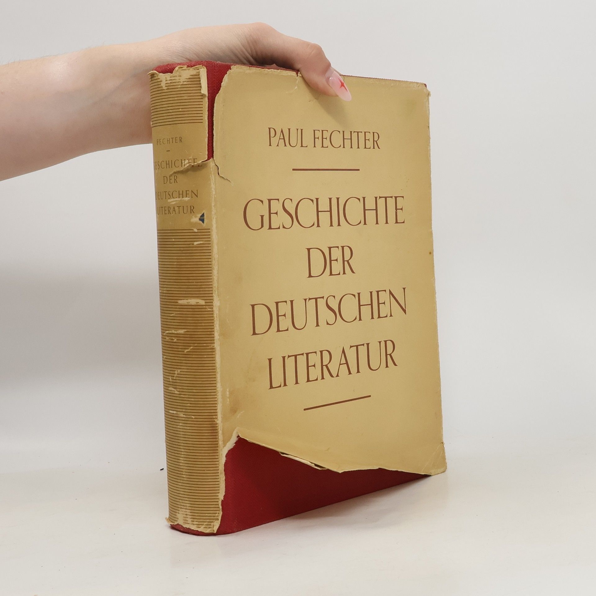 AA.VV. Geschichte der Deutschen Literatur