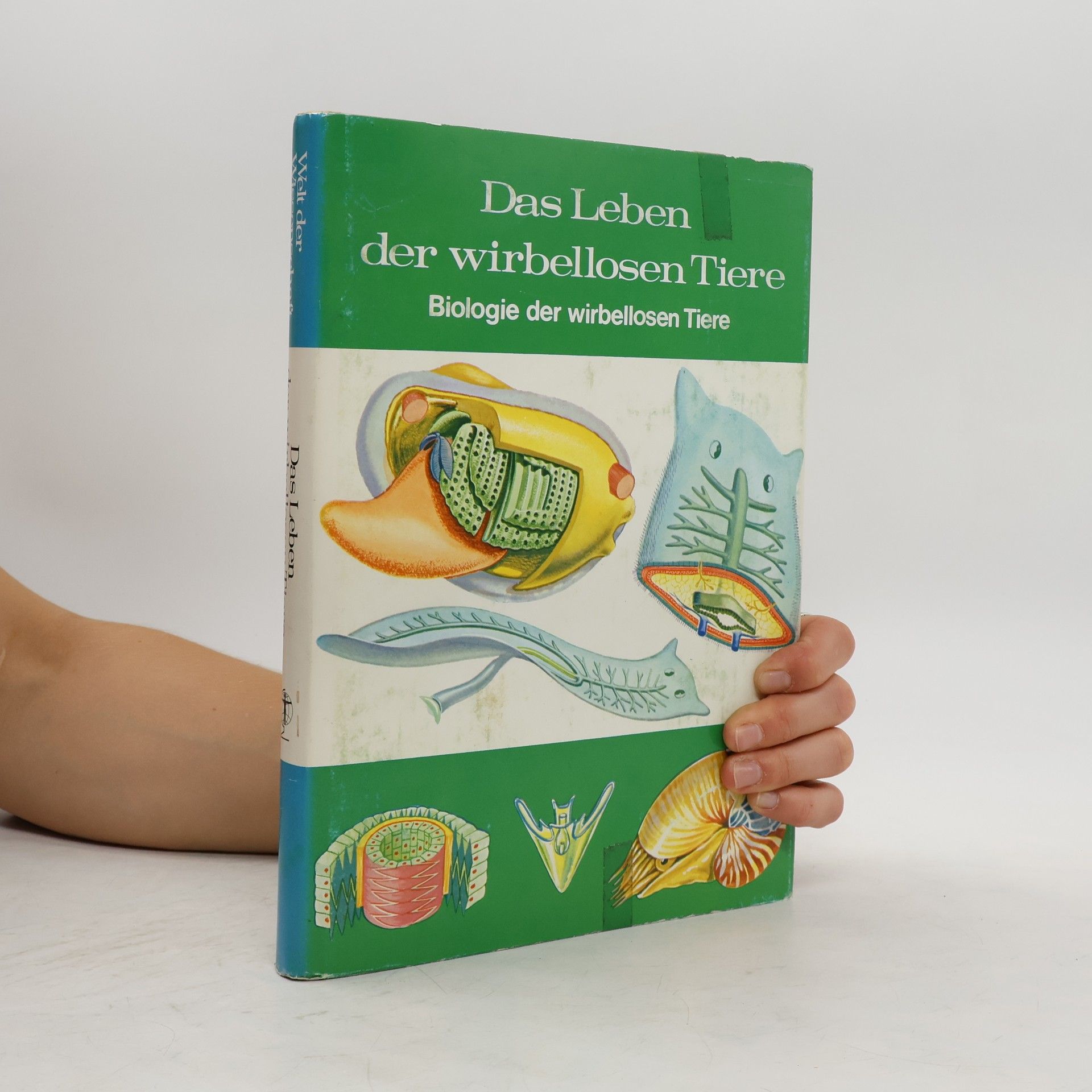 Autorenkollektiv Das leben der wirbellosen Tiere