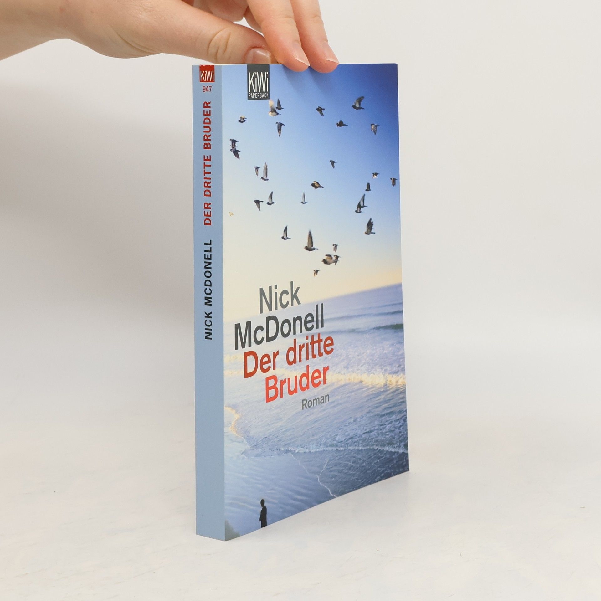 Nick McDonell Der dritte Bruder