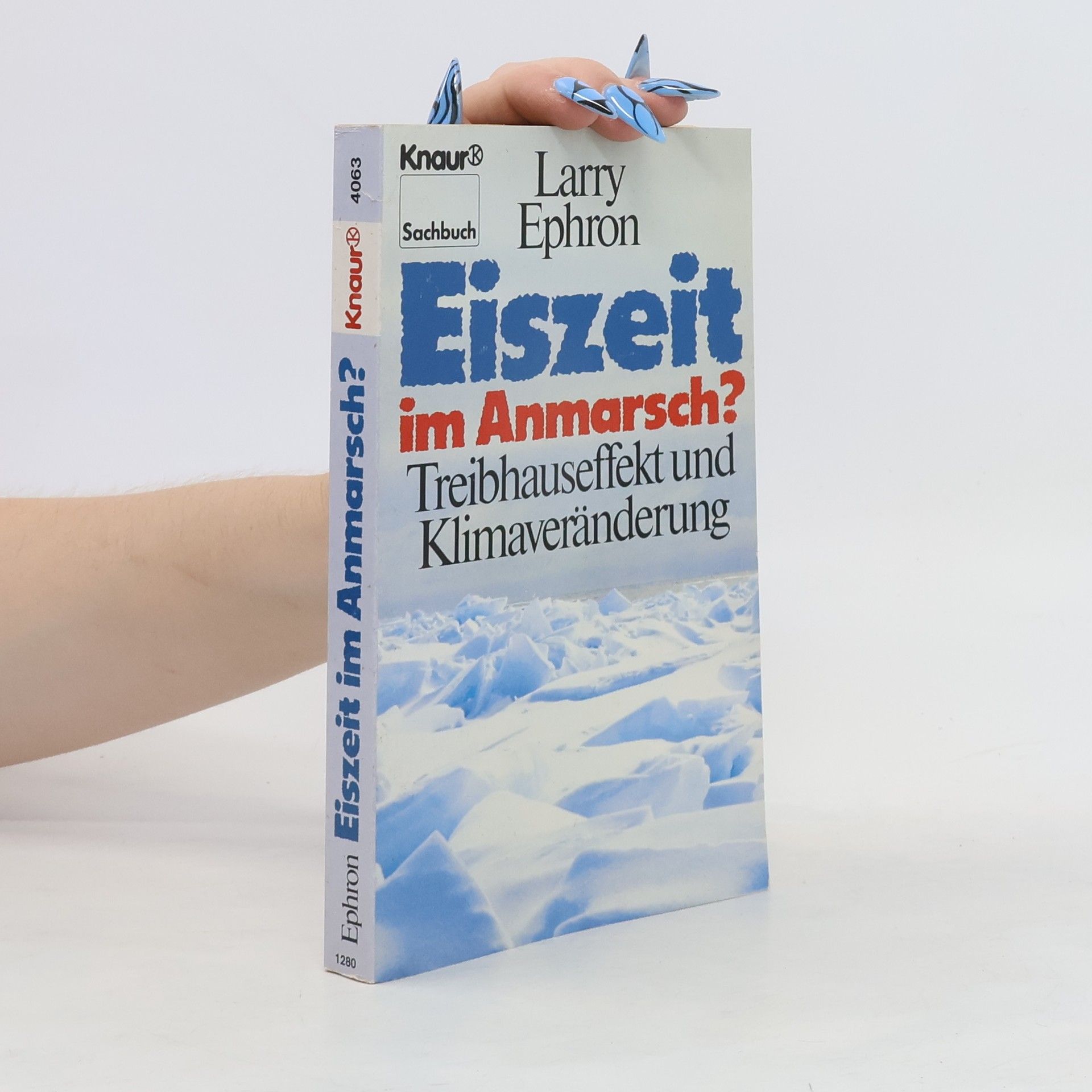 Larry Ephron Eiszeit im Anmarsch?