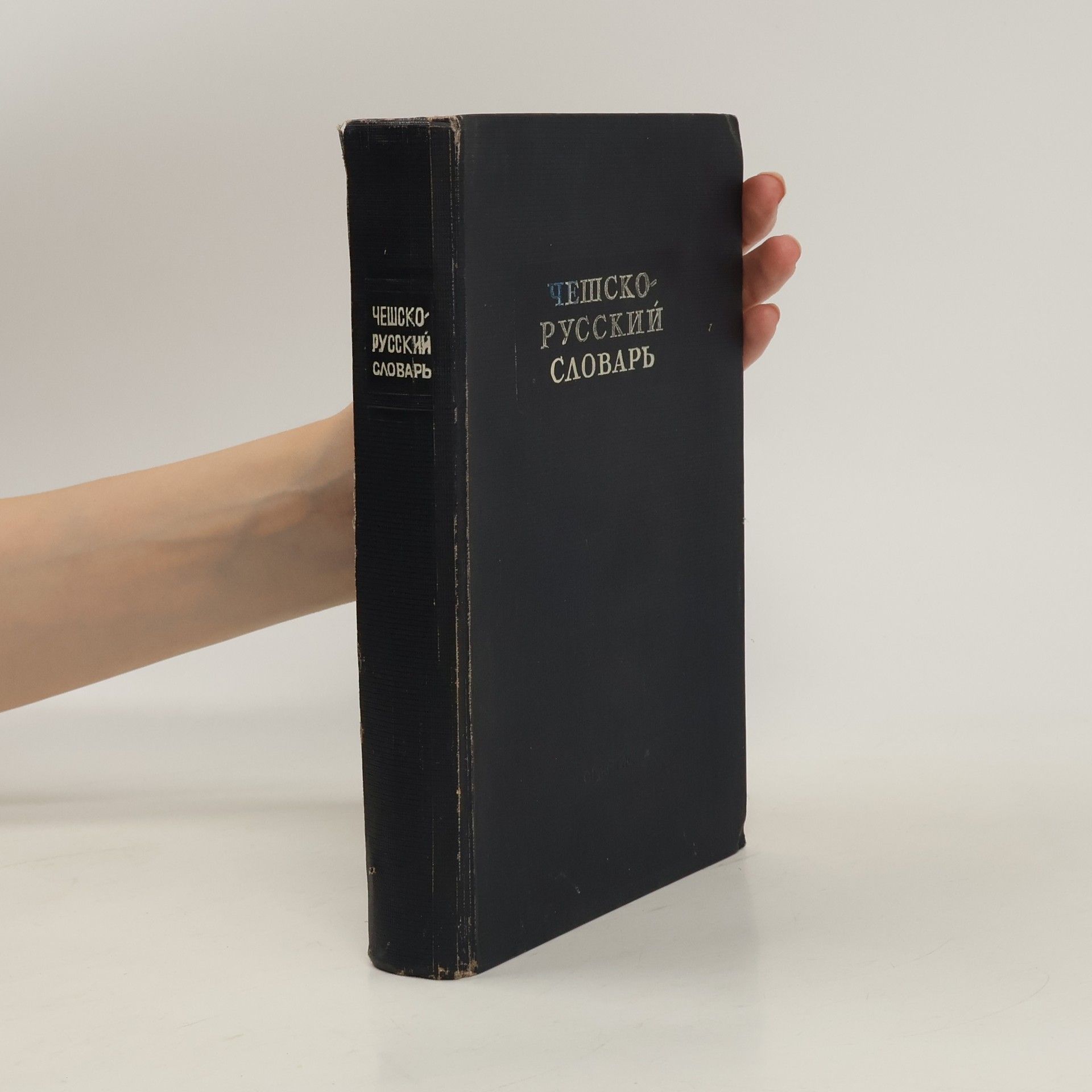 Autorenkollektiv Чешко-русский словарь