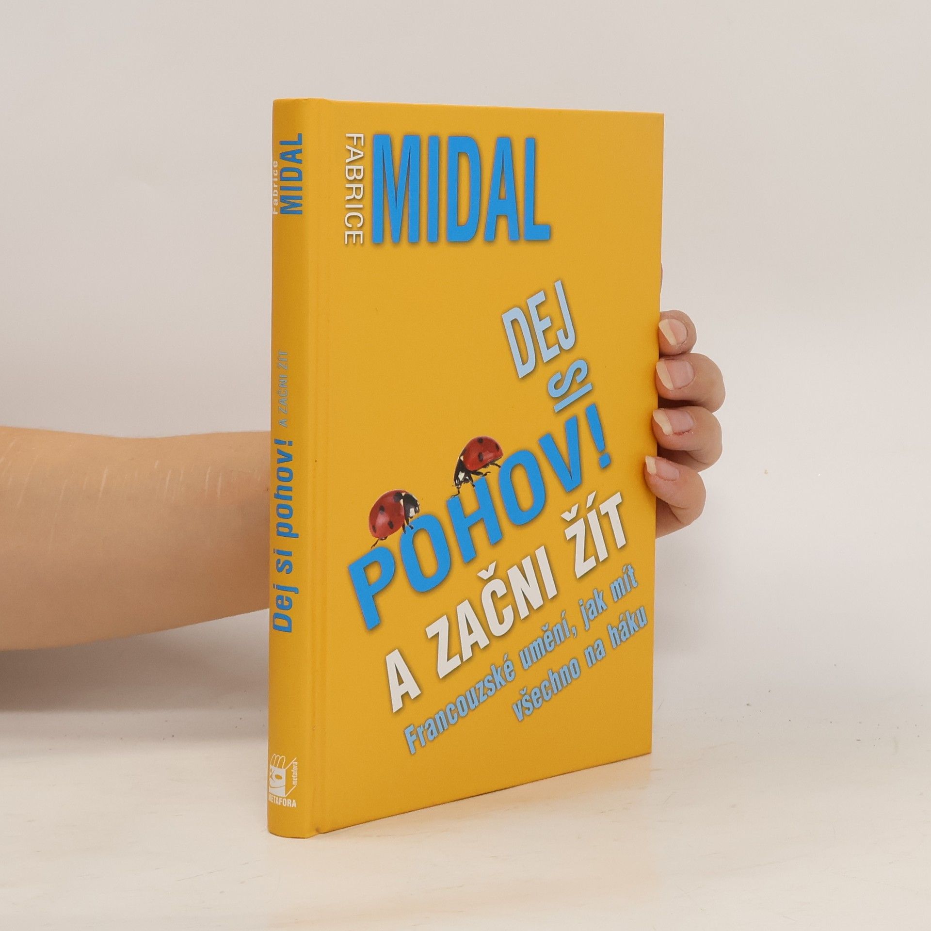 Fabrice Midal Dej si pohov! A začni žít. Francouzské umění, jak mít všechno na háku