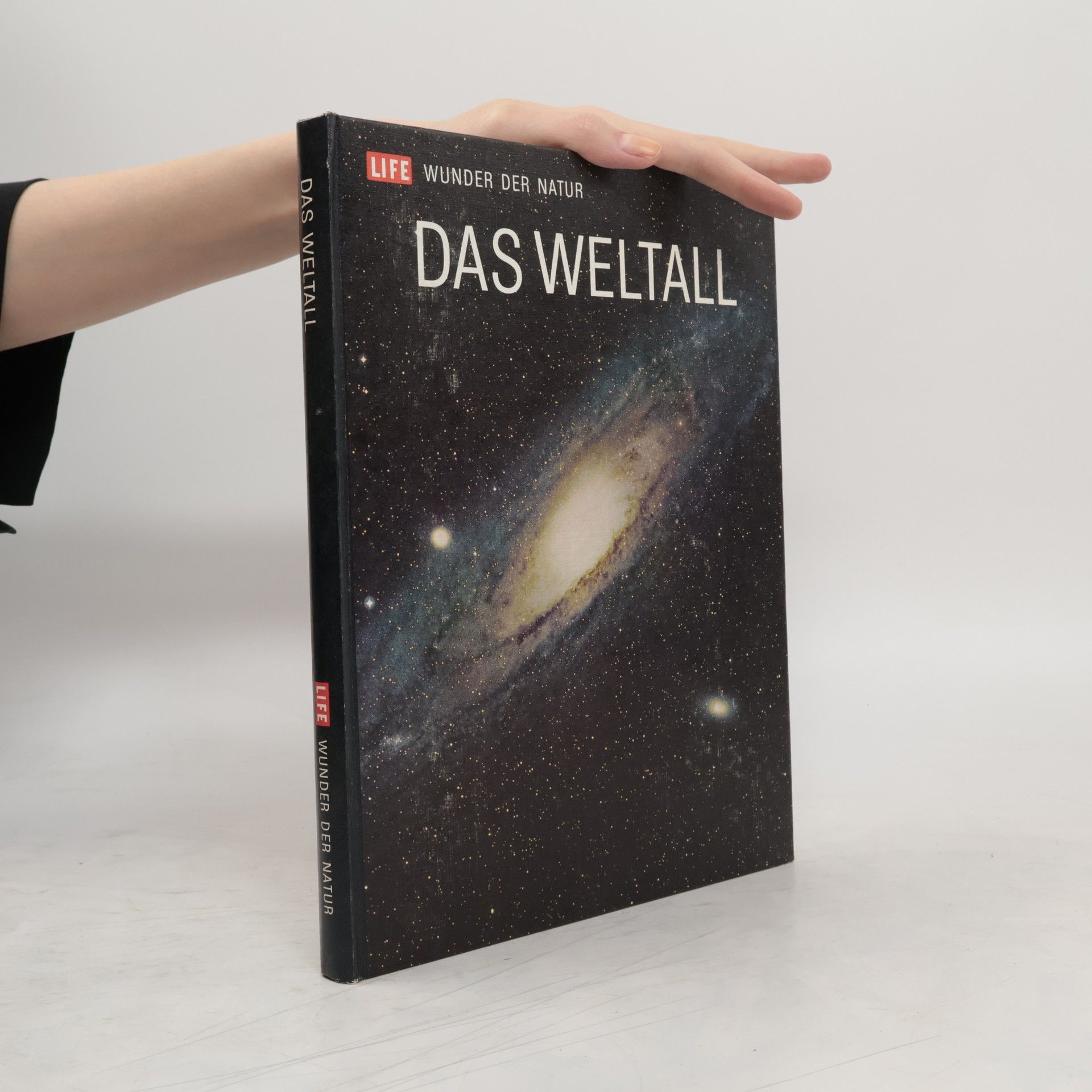 Das Weltfall