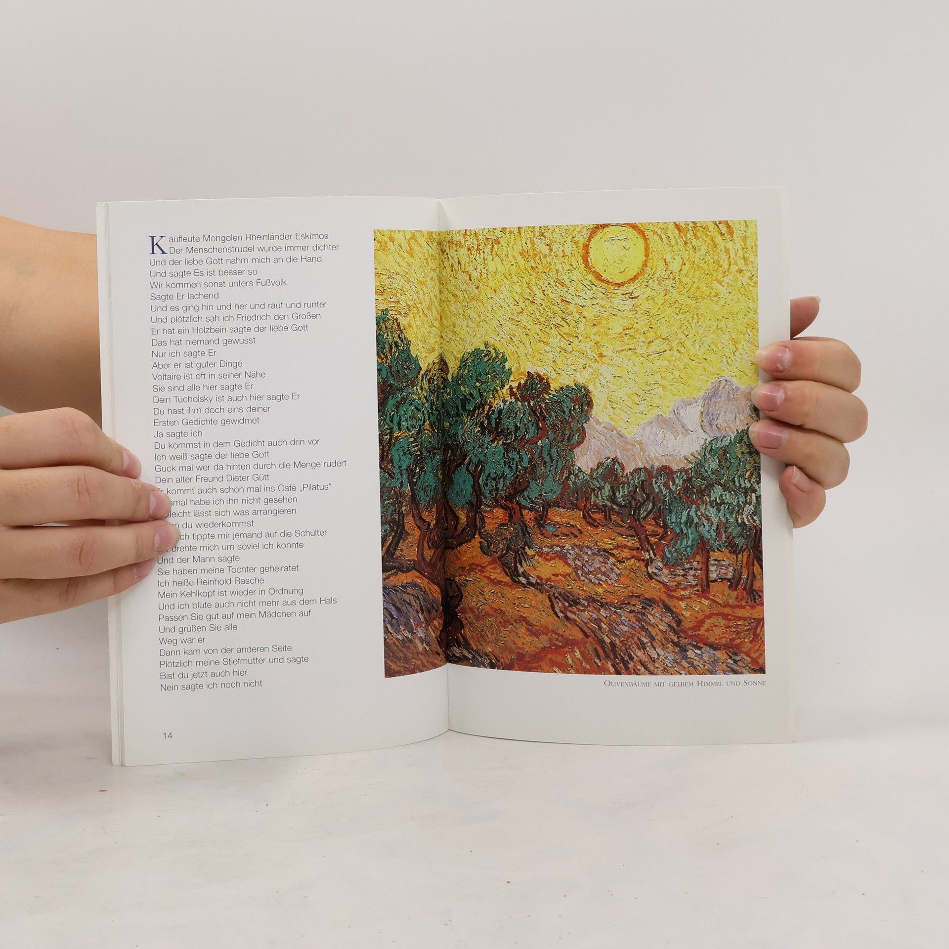 Hanns Hüsch Das kleine Buch aus heiterem Himmel