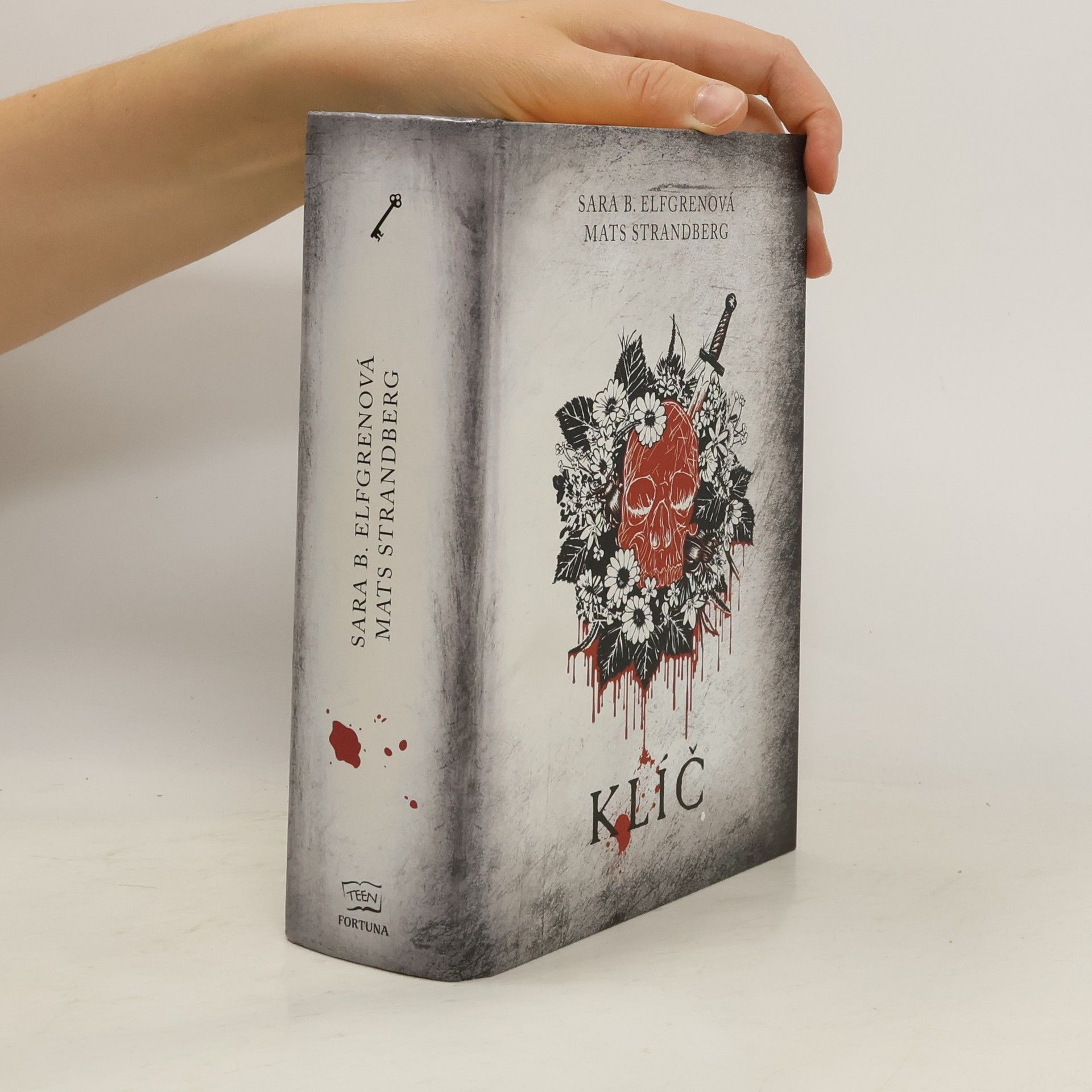 Sara Bergmark Elfmark Klíč. Série Kruh, díl 3.