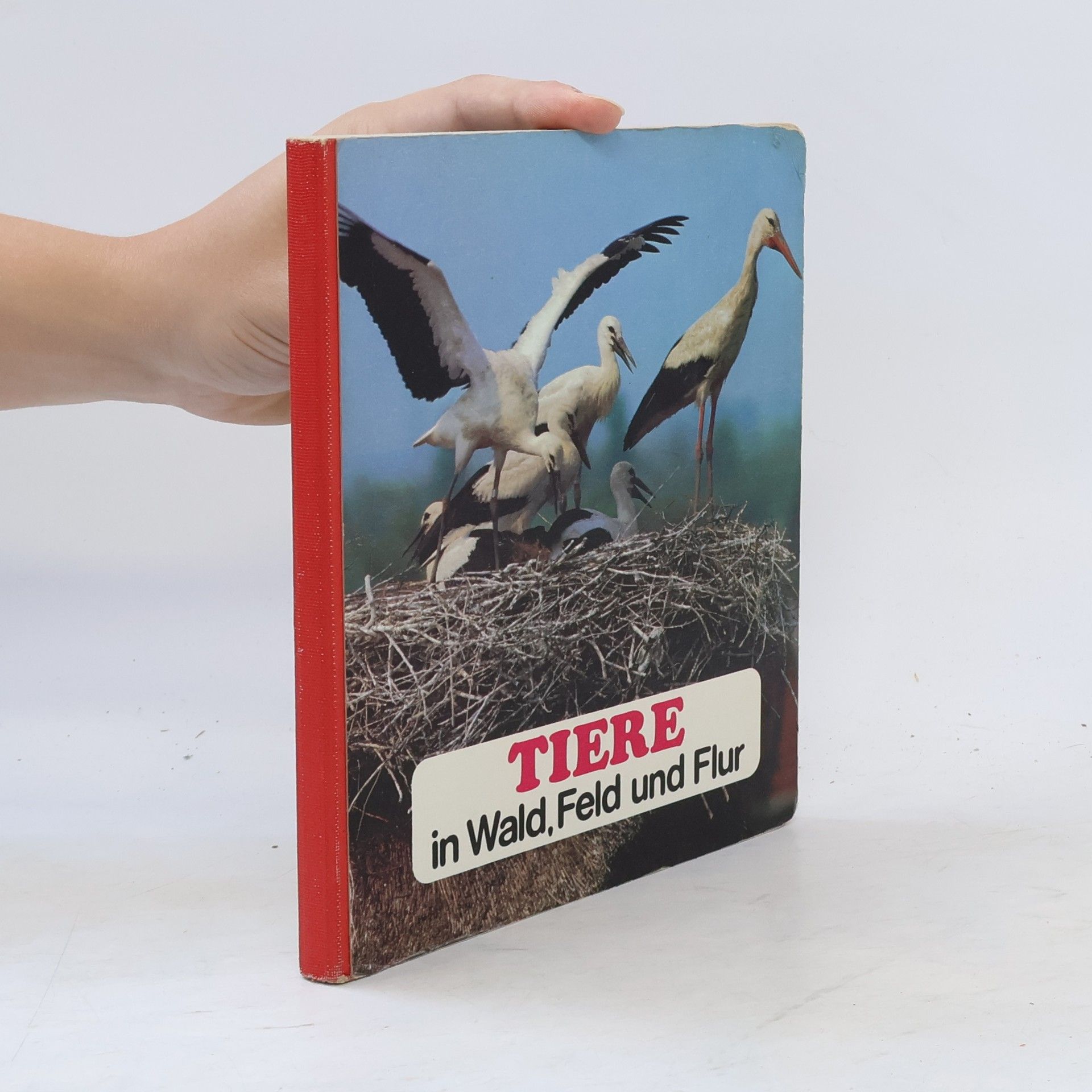 AA.VV. Tiere in Wald, Feld und Flur