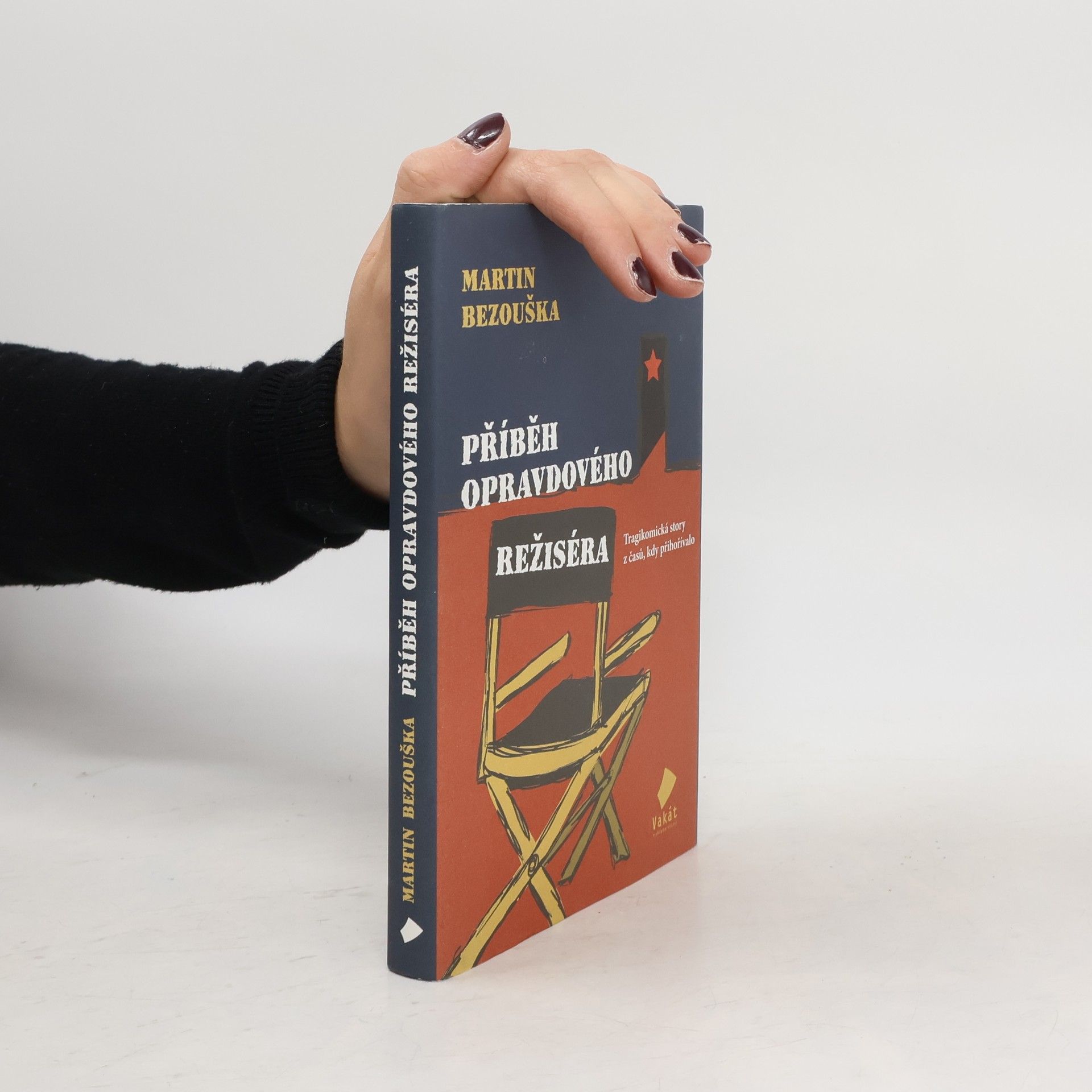 Martin Bezouška Příběh opravdového režiséra : tragikomická story z časů, kdy přihořívalo