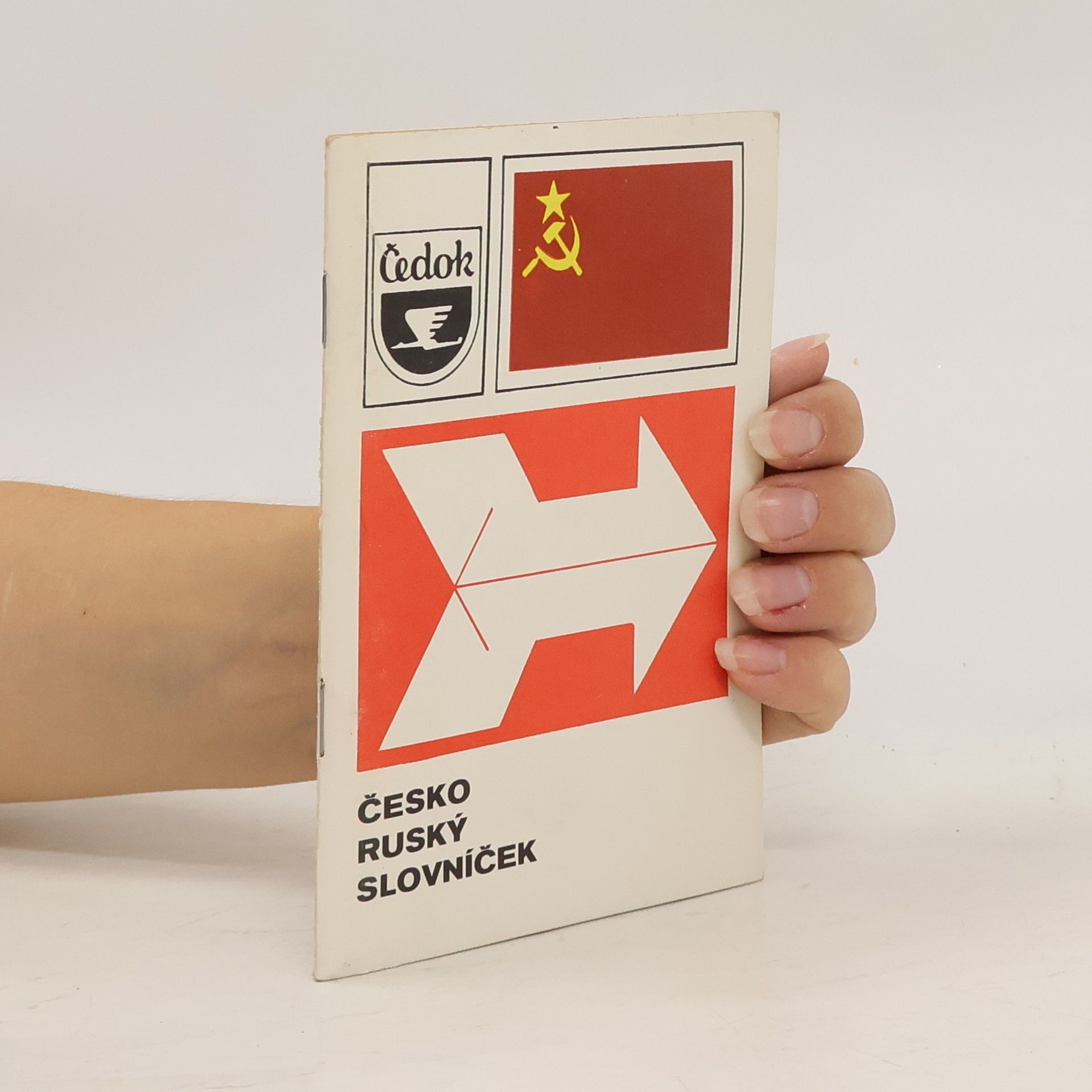 Autorenkollektiv Česko ruský slovníček