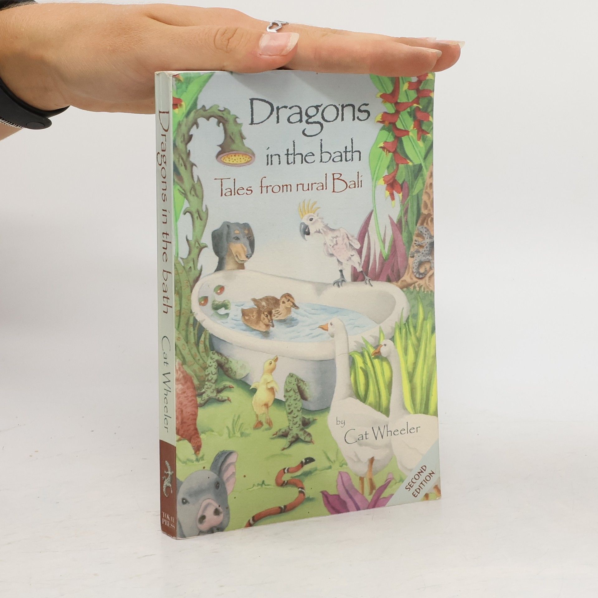 Catherine Wheeler Dragons in the Bath