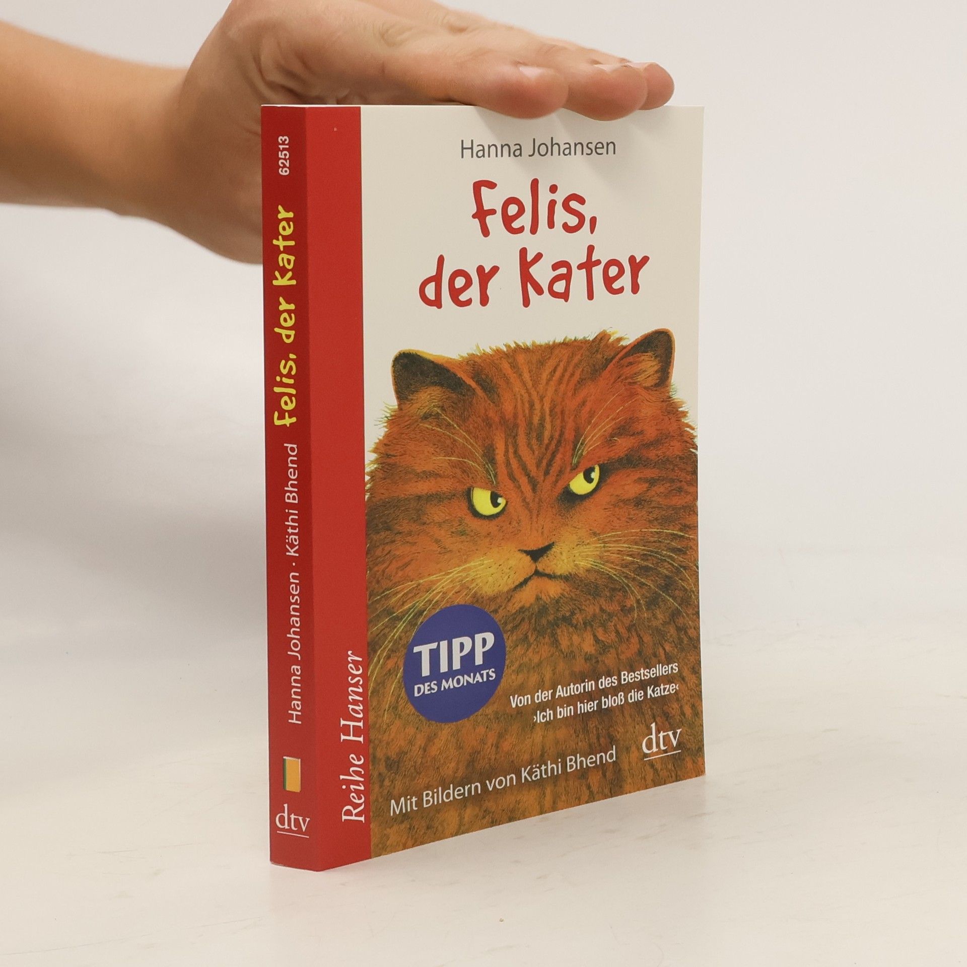 Hanna Johansen Felis, der Kater