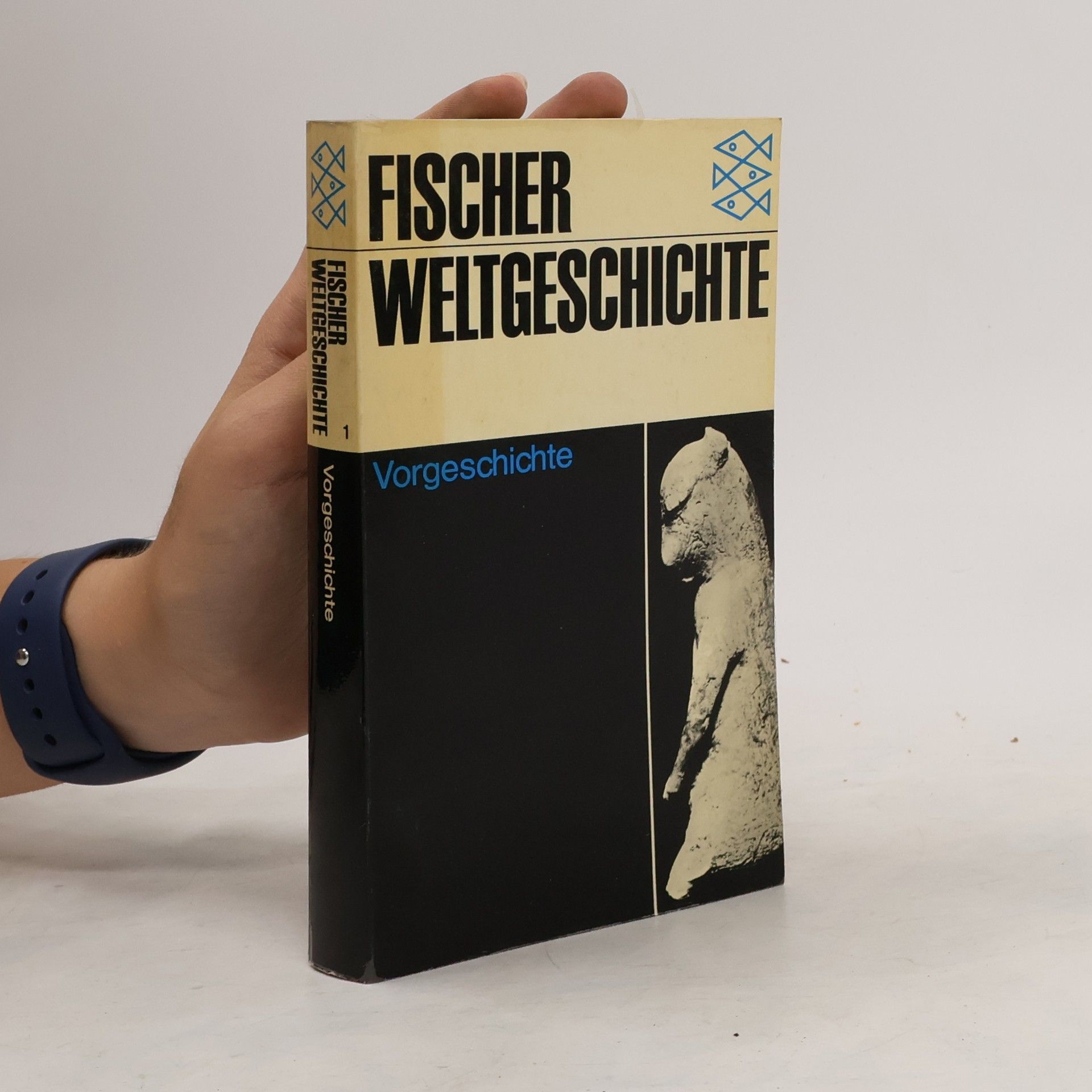 Collectif d'auteurs Vorgeschichte