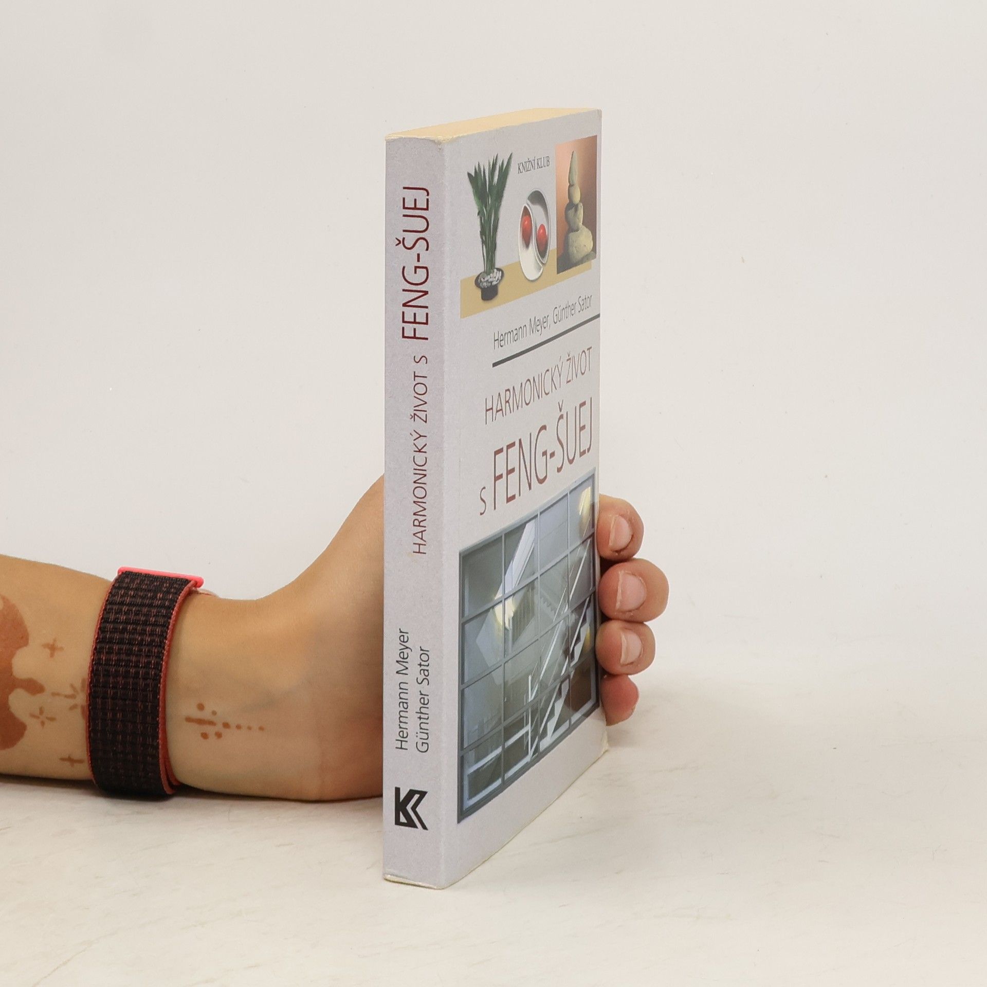 Alena Šubrtová Harmonický život s feng-šuej: Dokonalý interiér doma i na pracovišti